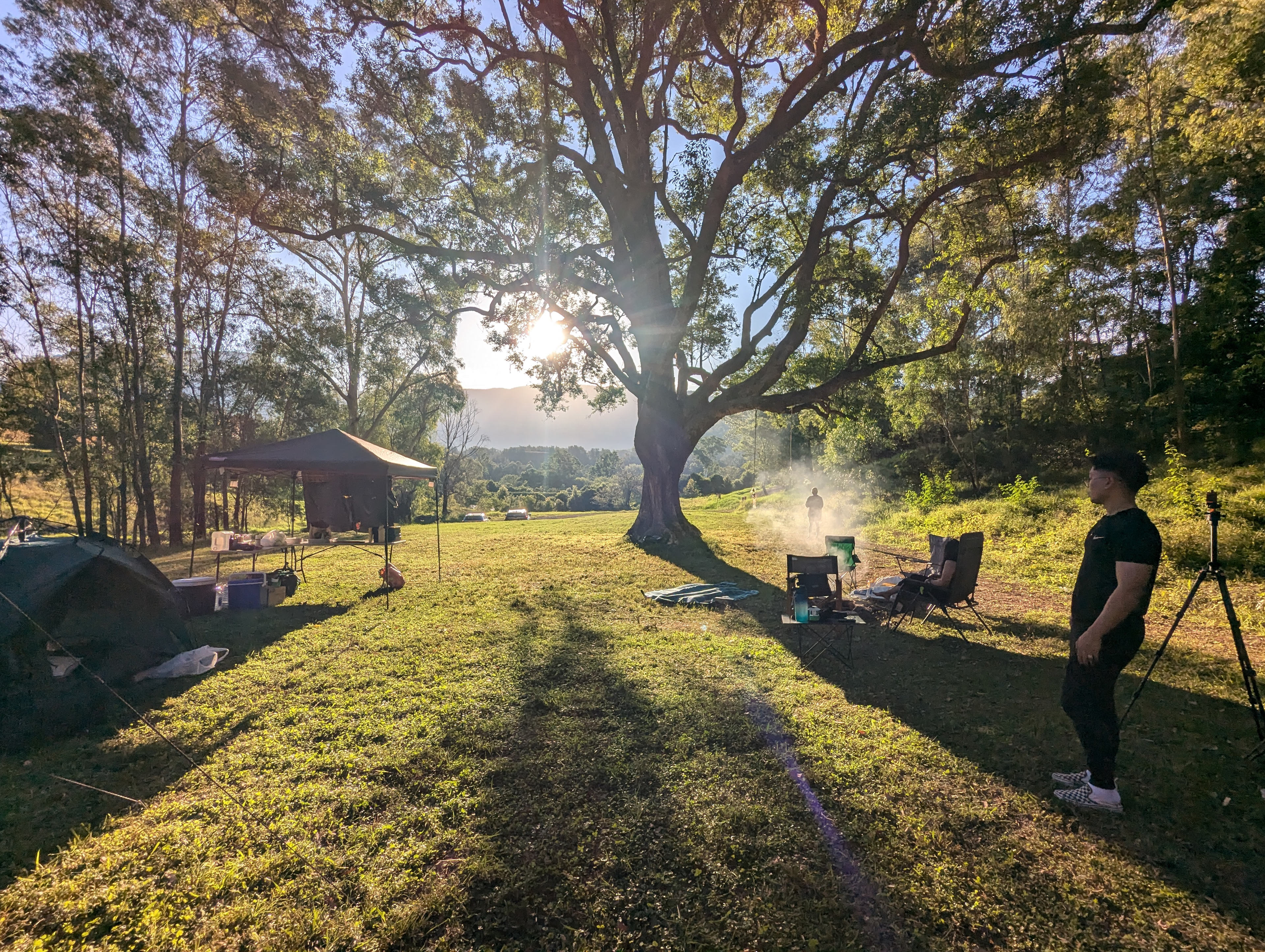 Glamping Around An Ancient Tree