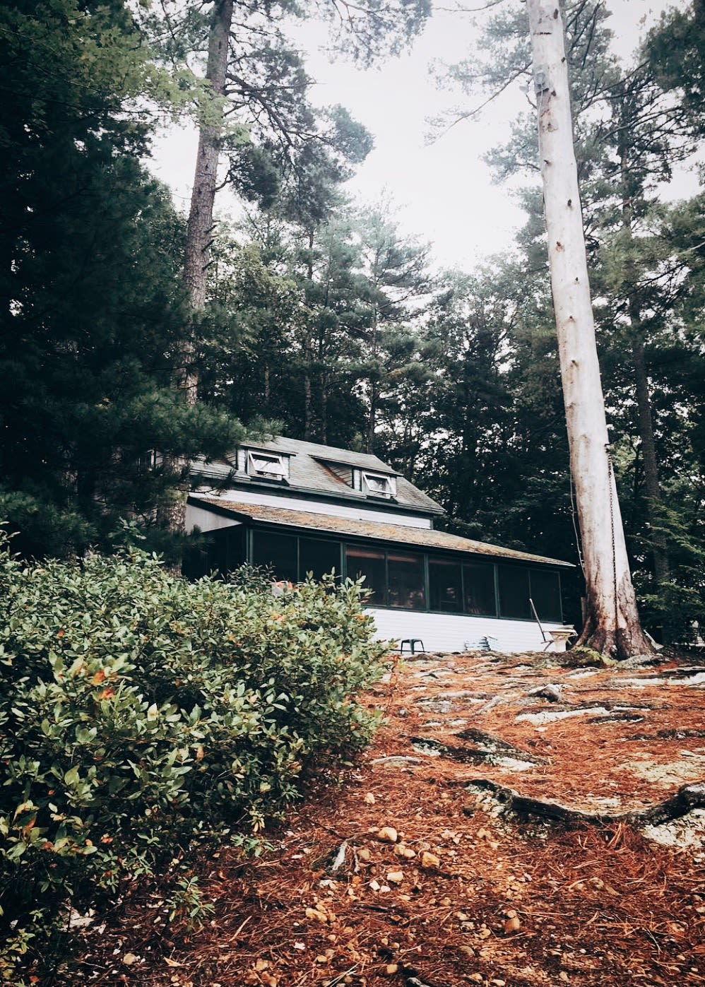 Waterfront Cabin at Paterson Point