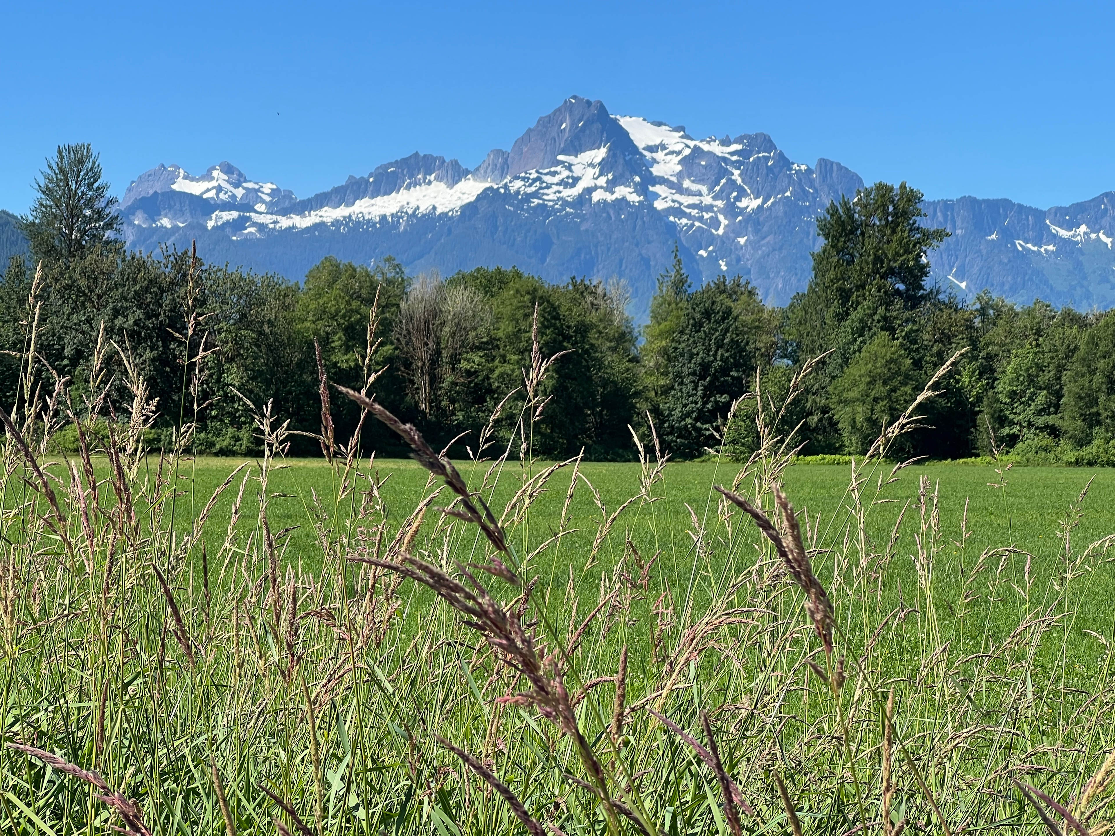 Ruby's Run Farm & Forest