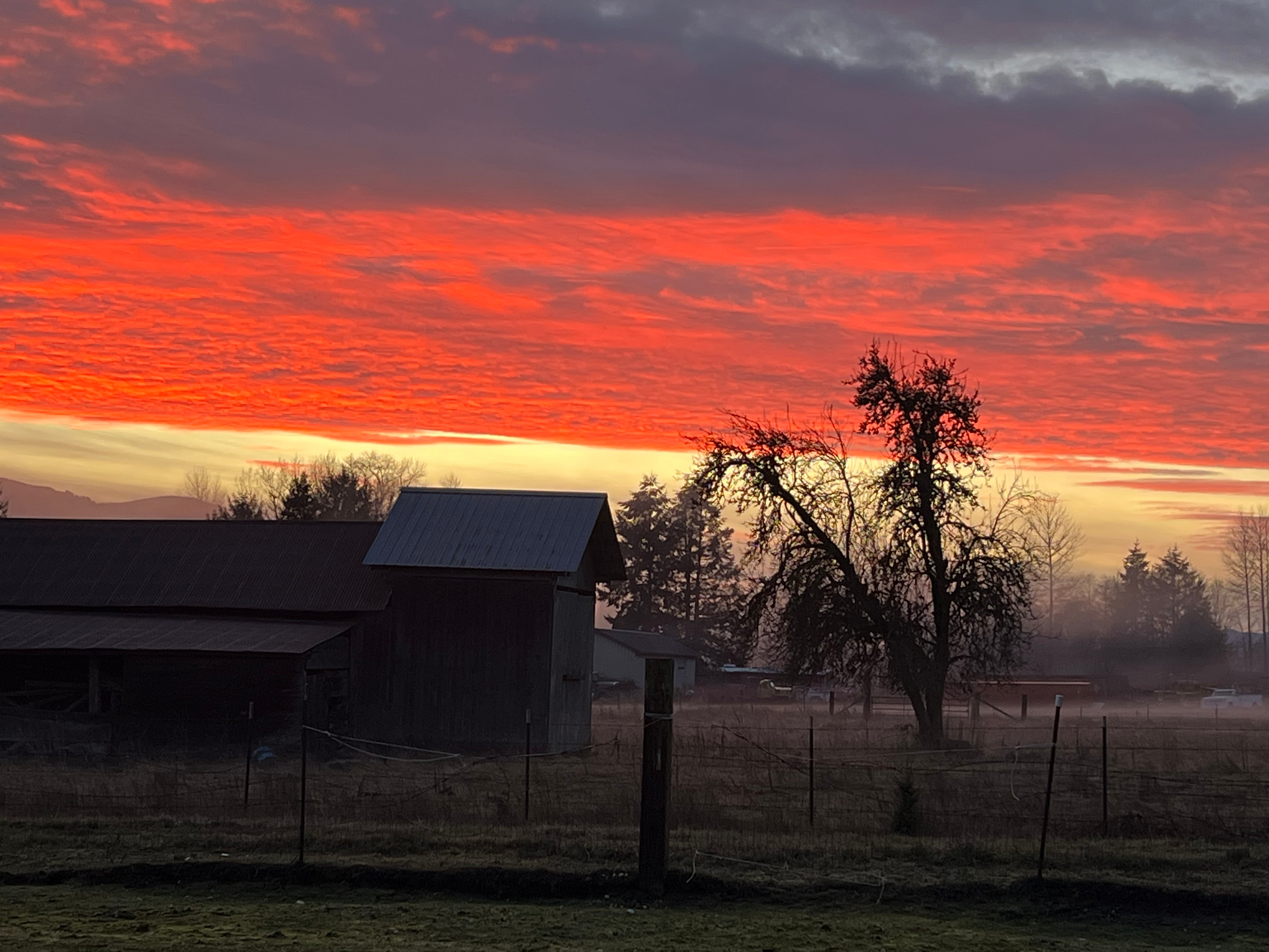 Ruby's Run Farm & Forest