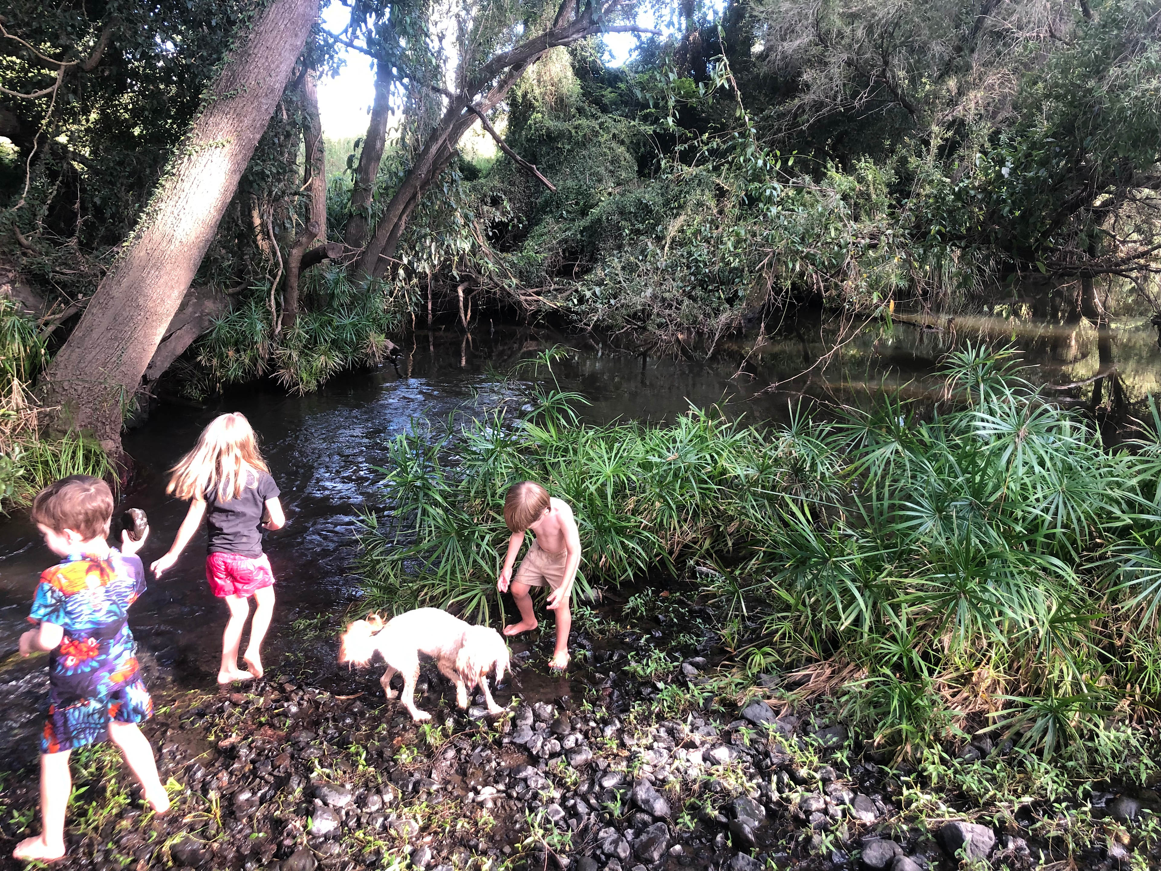 Creekside Camping and Golf