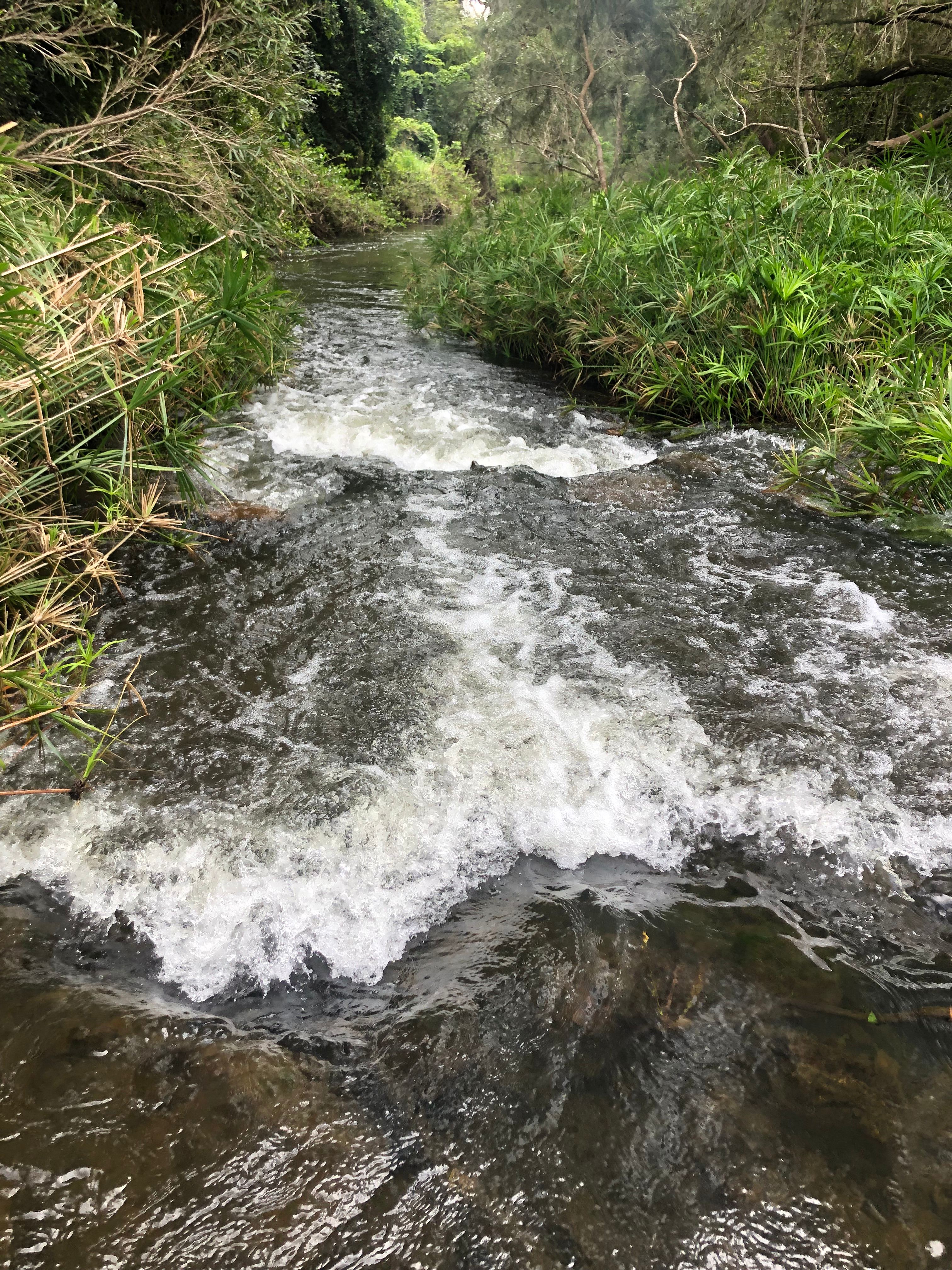 Creekside Camping and Golf