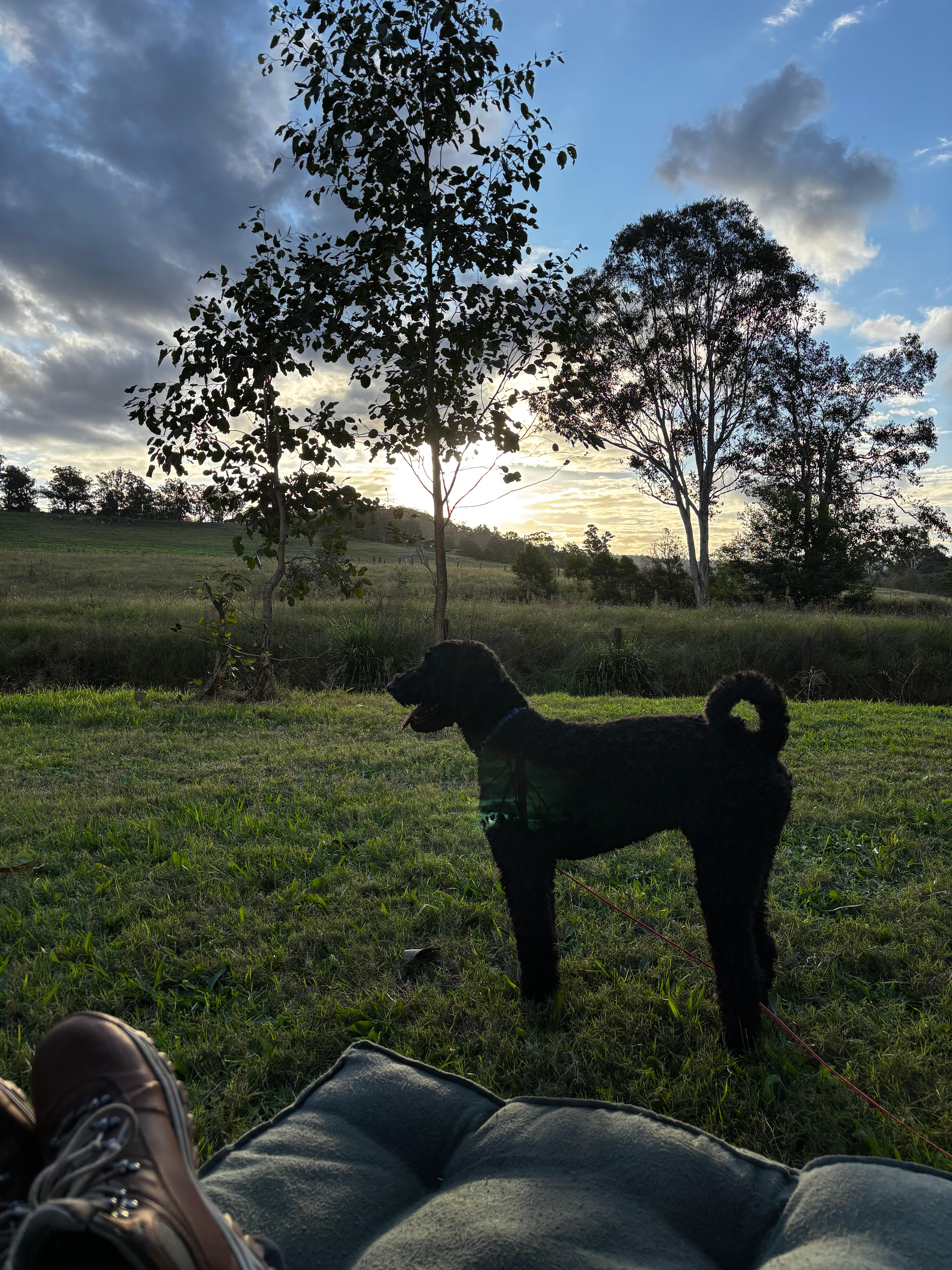 Wollombi flats camping