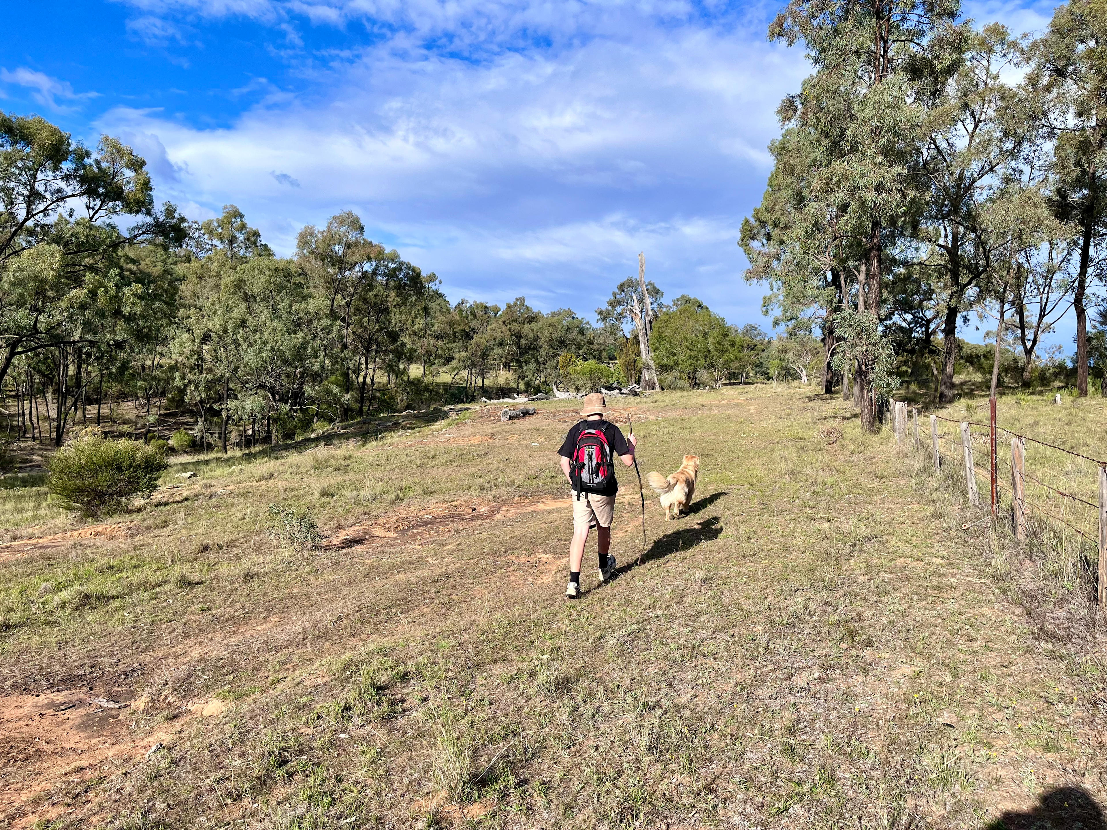 Hillside Camp on Bow River