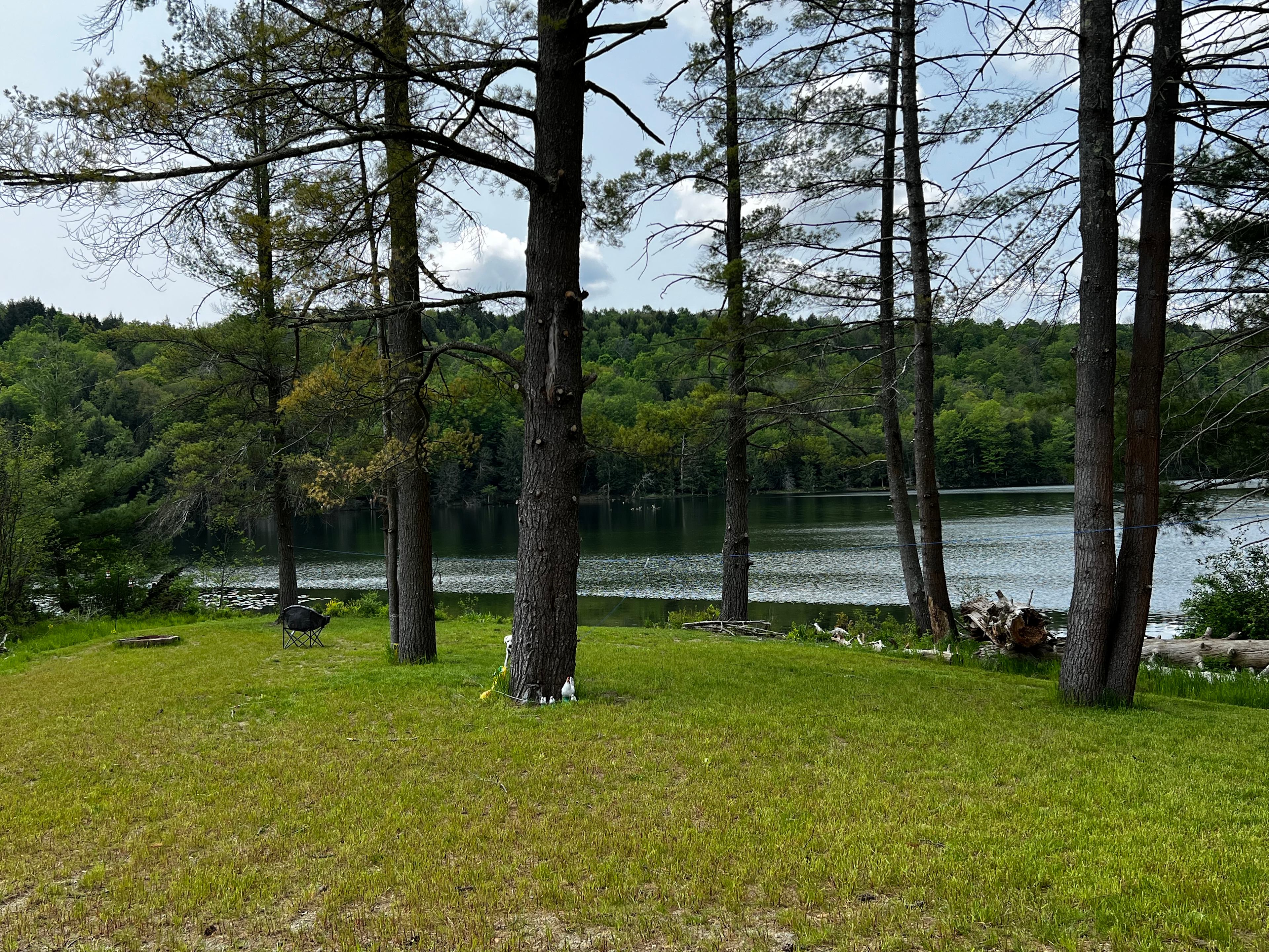 Lazy Paddle Cove at Stump Pond