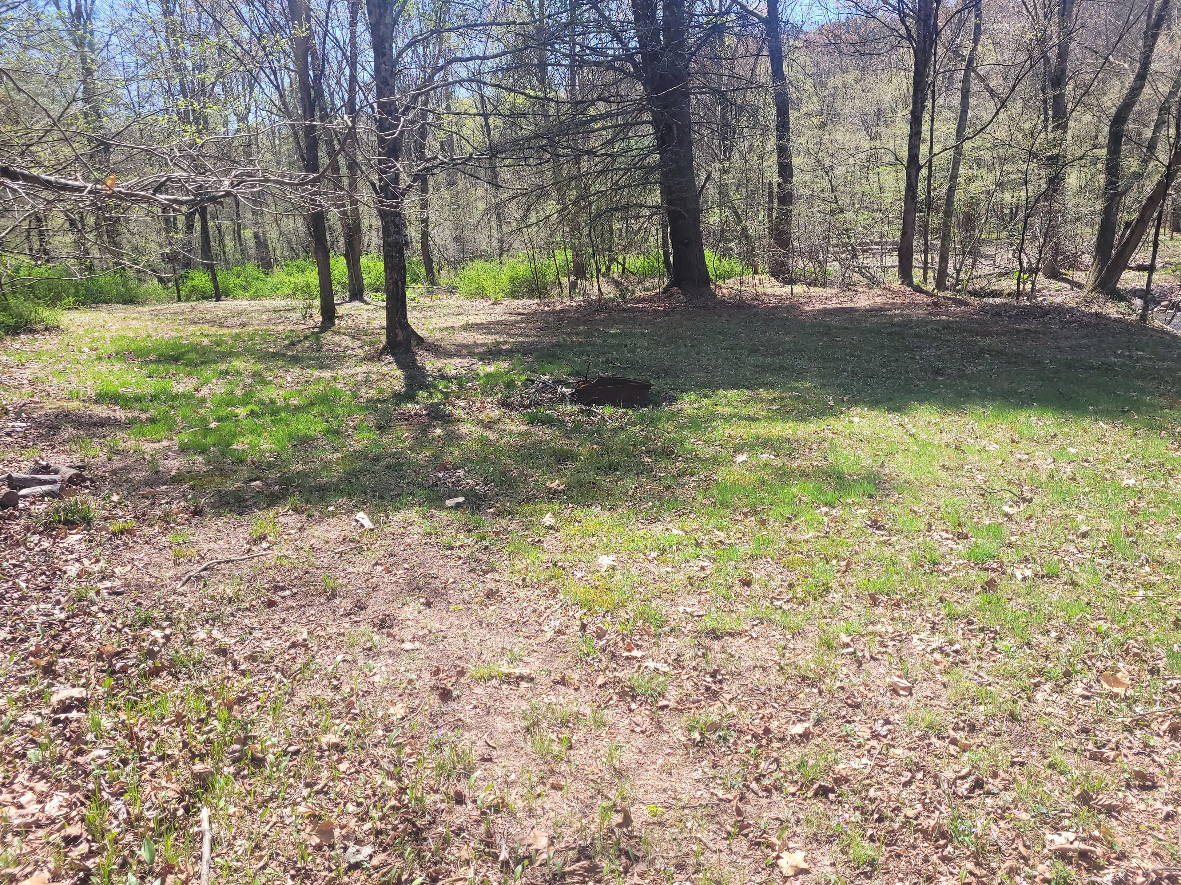 Reyburn Creek