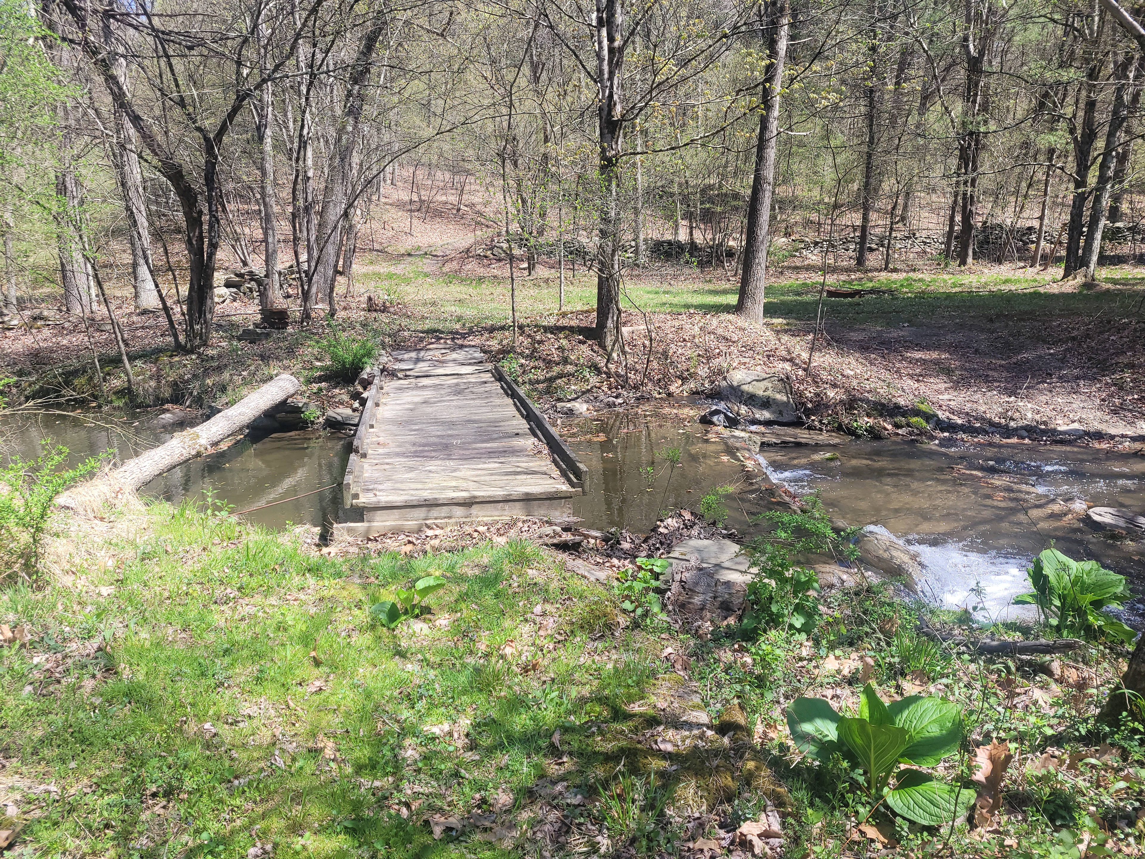 Access to creek site. Can park on either side of the creek.