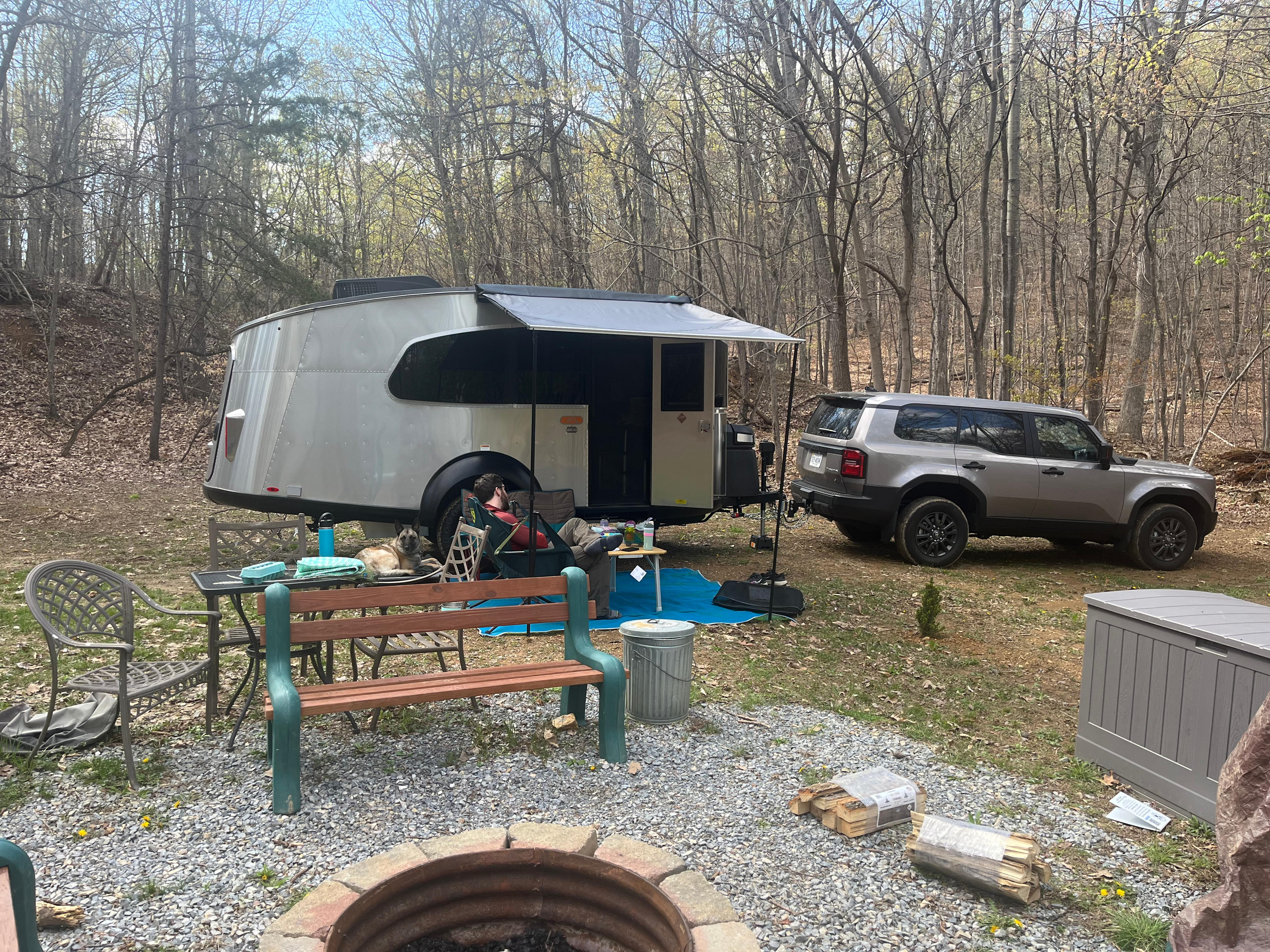 Peaceful Hollow Pines