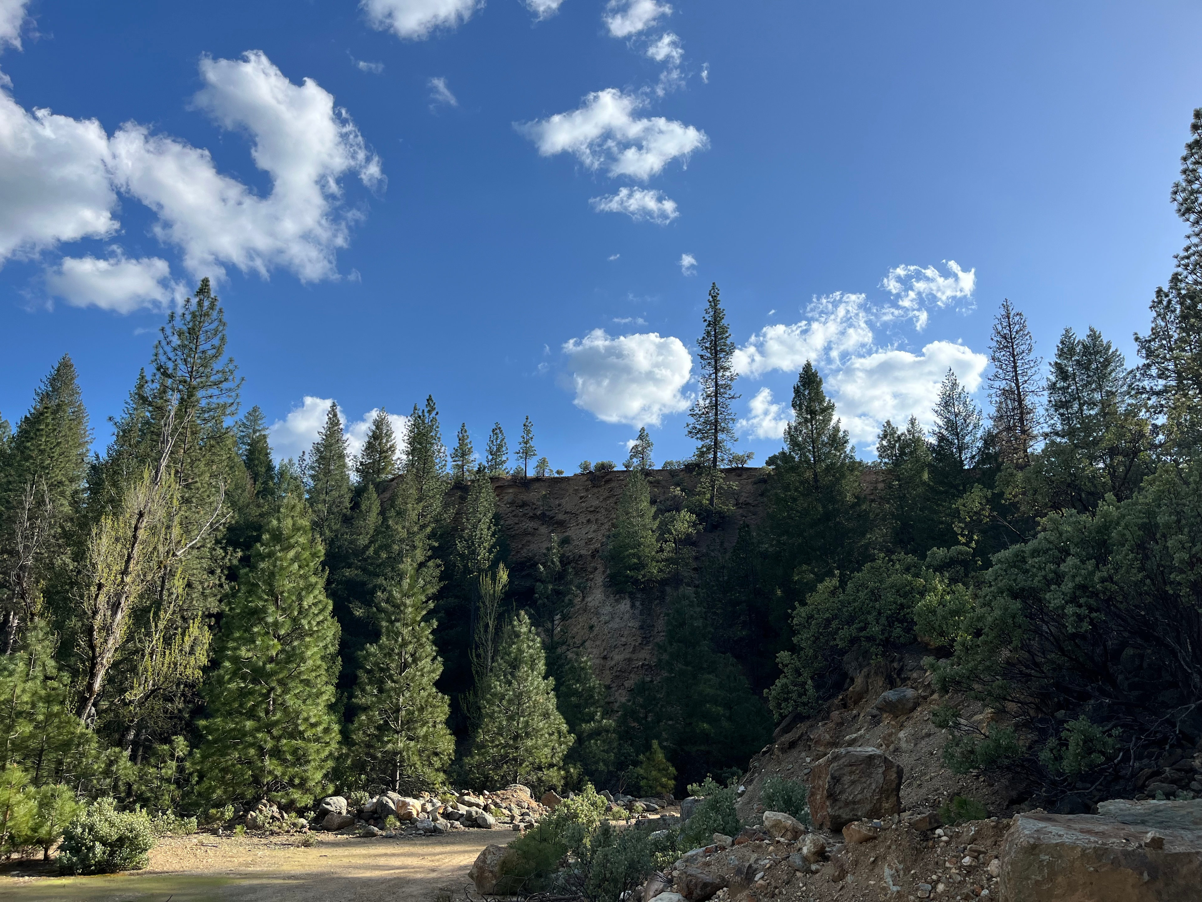 70+ Acre Historic Goldmine Mountain