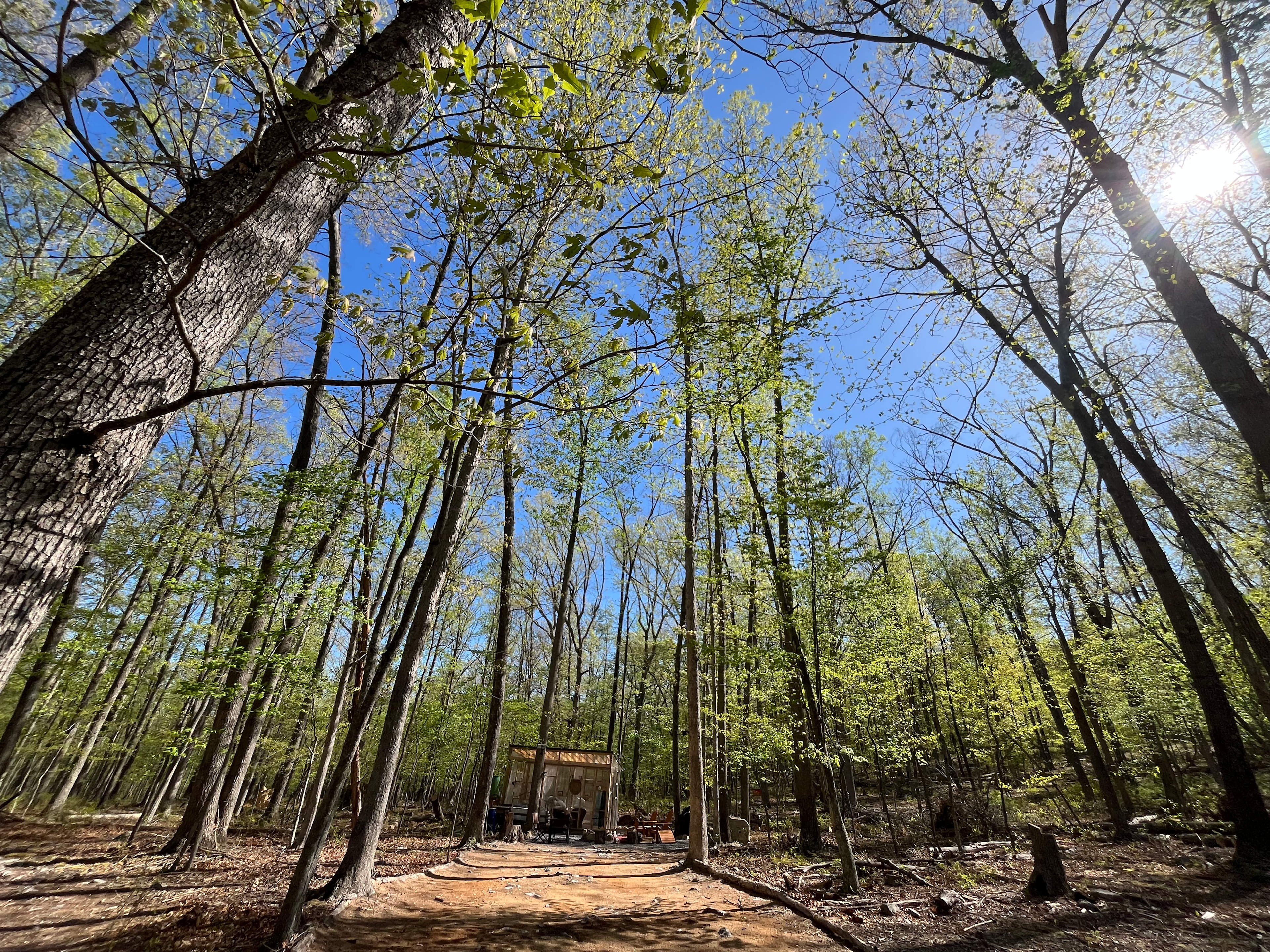 Casita Of LOVE (Panhandle WV)