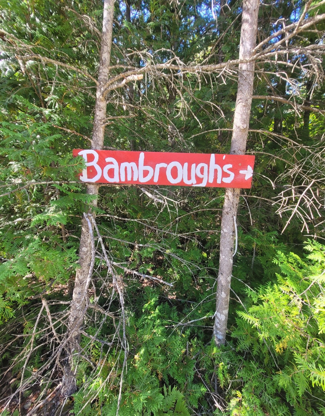 Bambrough's Camp