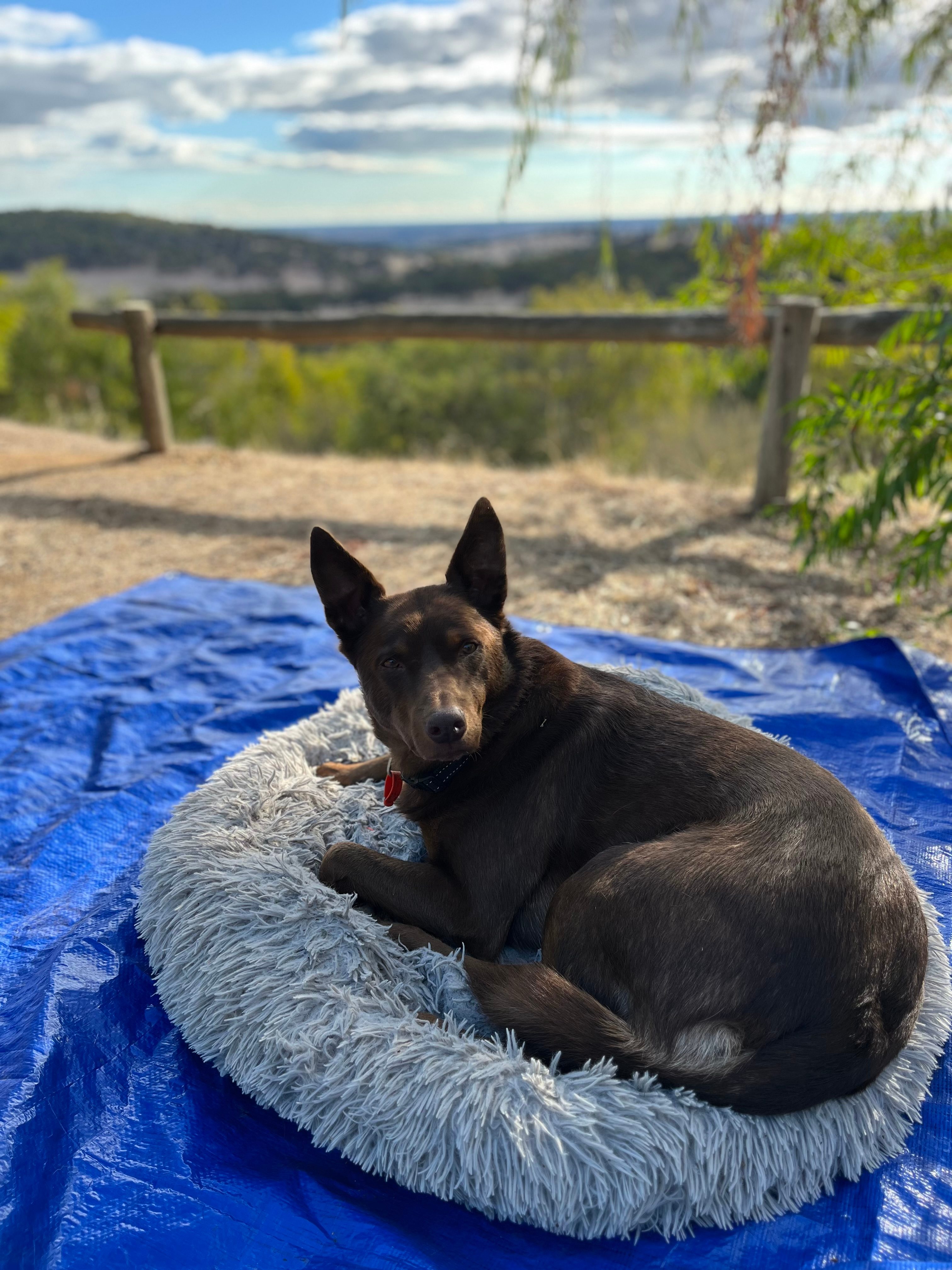 The Sanctuary Bush Retreat