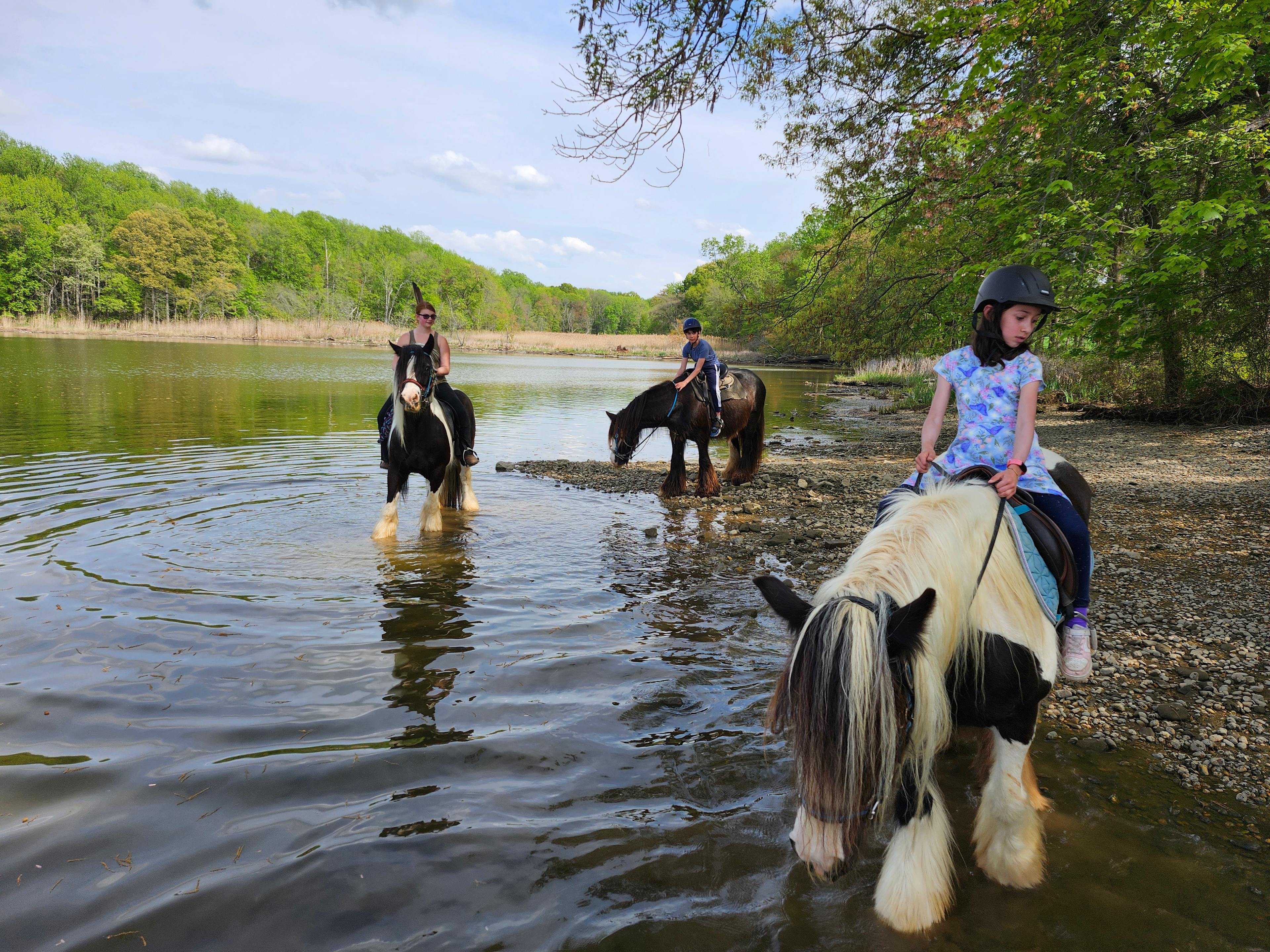 Waterfront horse tours.