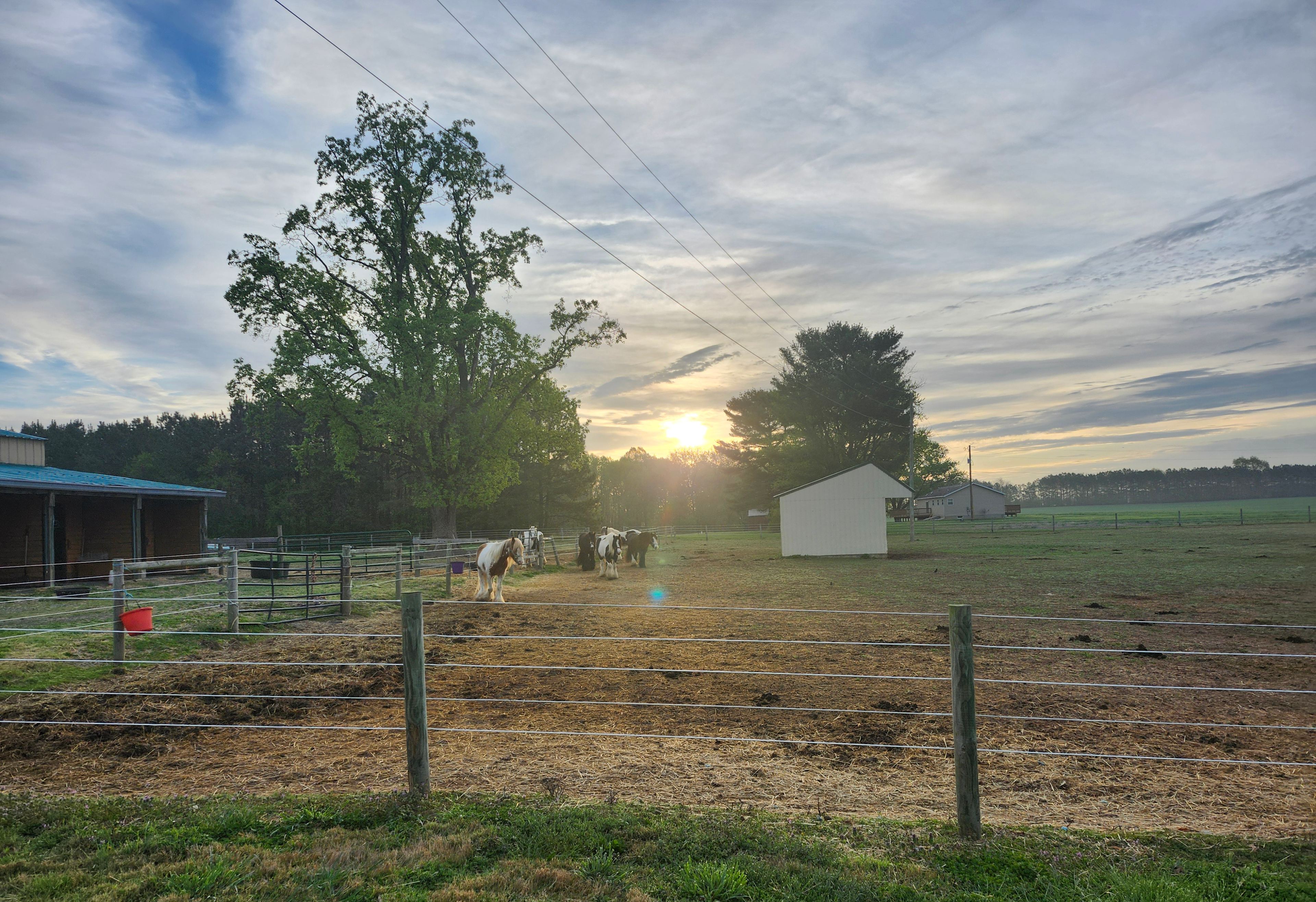 Grove Point Stables