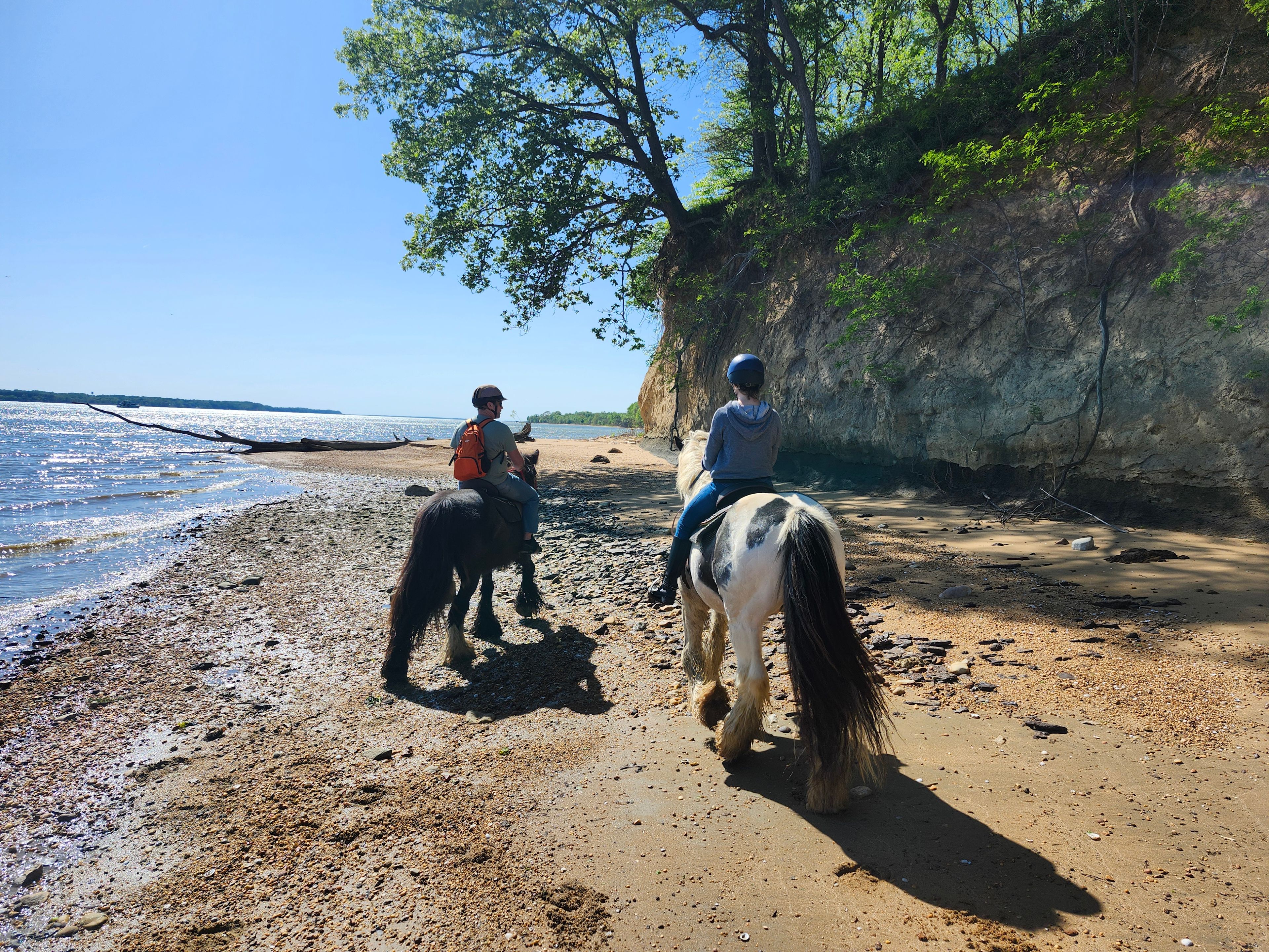 Grove Point Stables