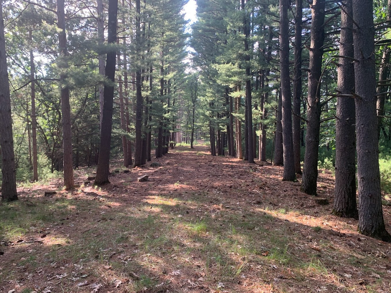 Wildwood Campground, Pine Lake