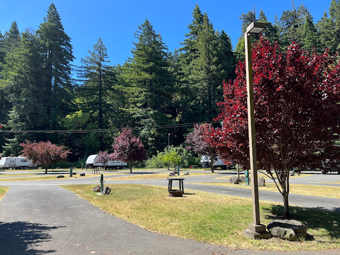 Ancient Redwoods RV Park