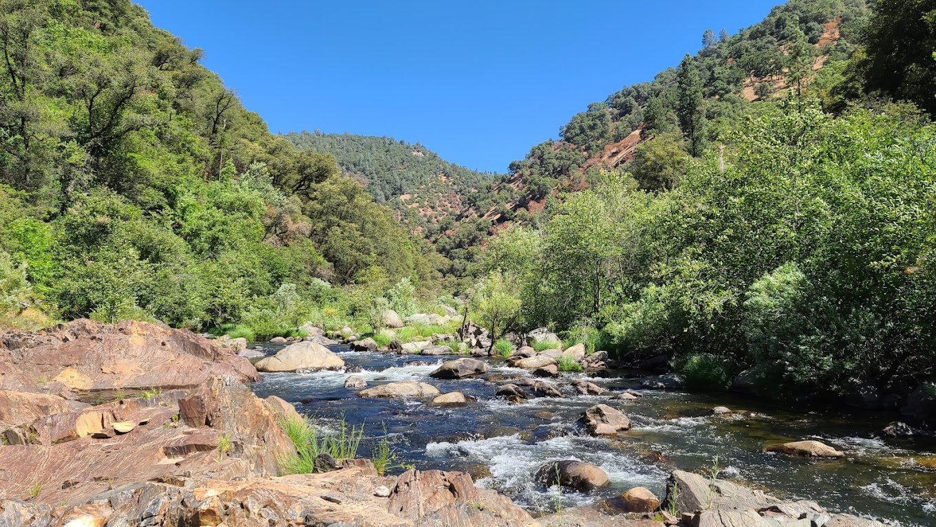 Roaring Camp Mining Company
