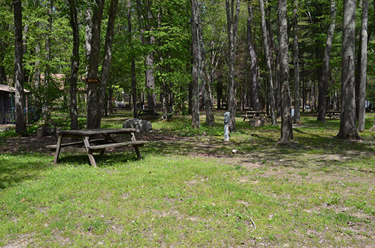 Canoe River Campground