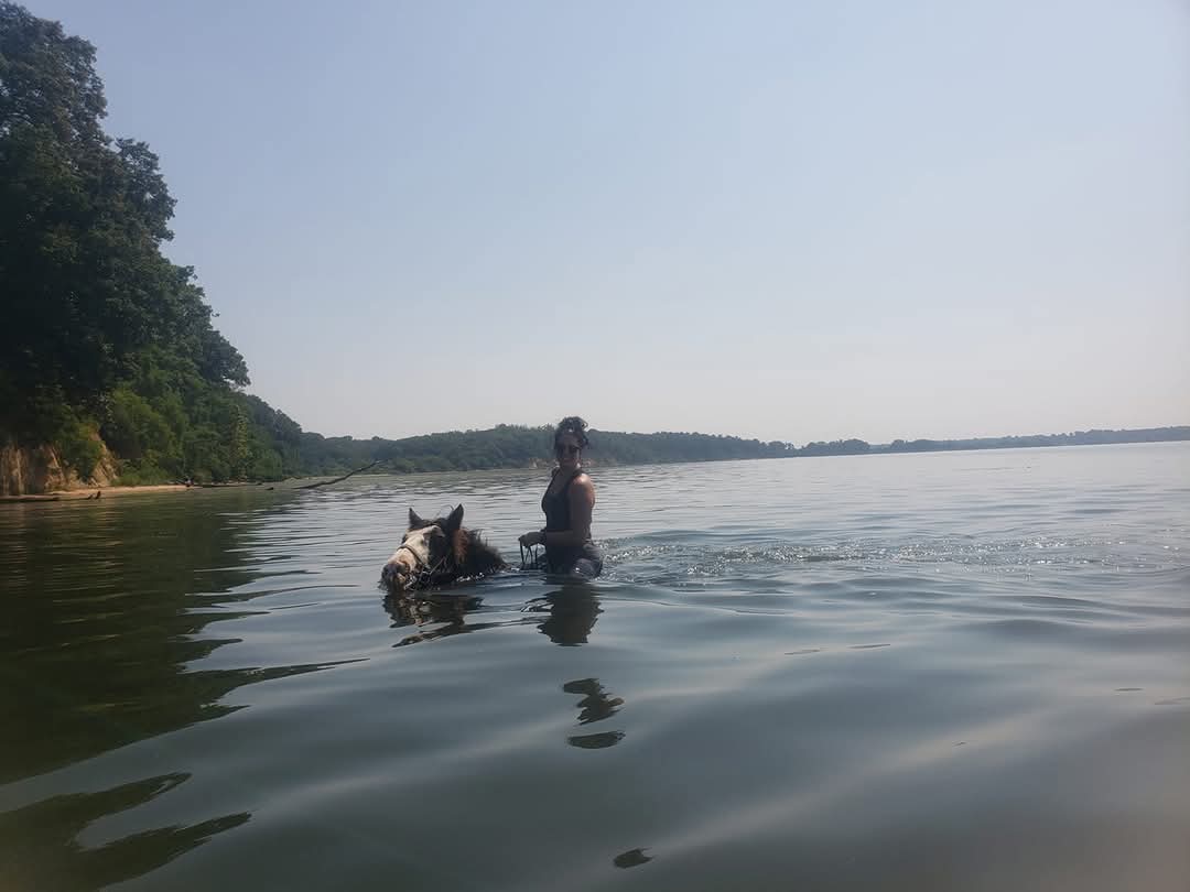 Swimming the horses 