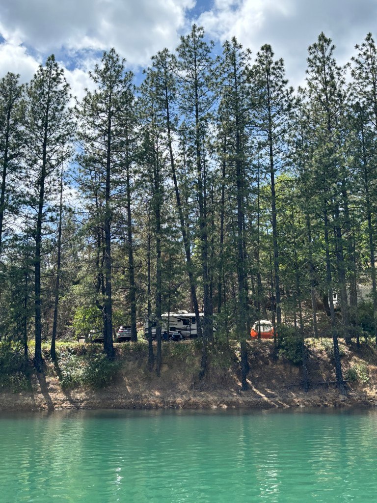Holiday Harbor