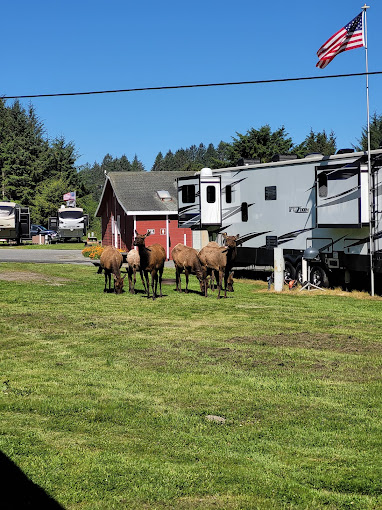 Elk Country RV Resort & Campground
