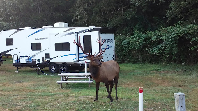 Elk Country RV Resort & Campground