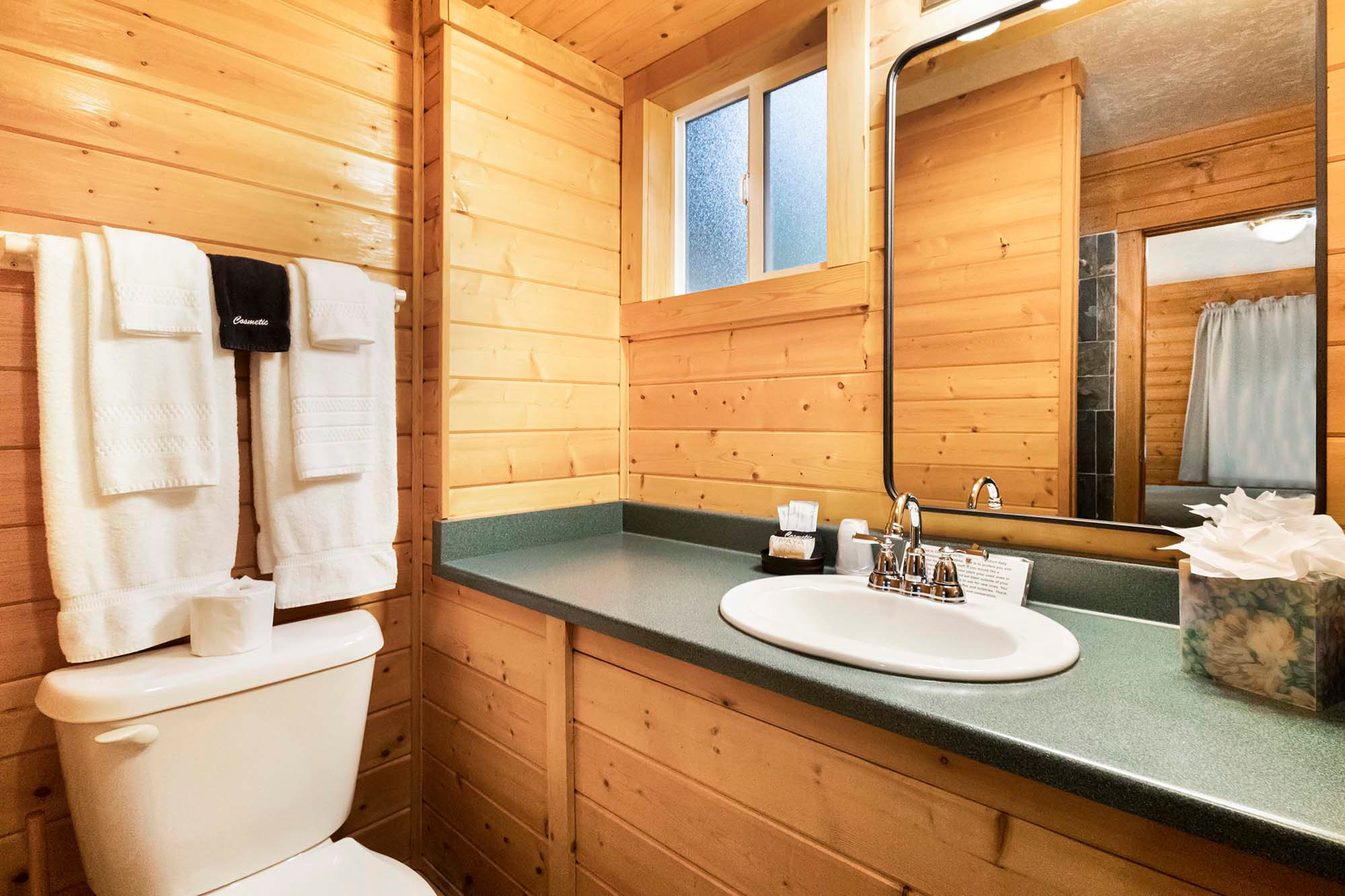 Emerald Forest Cabins & RV
