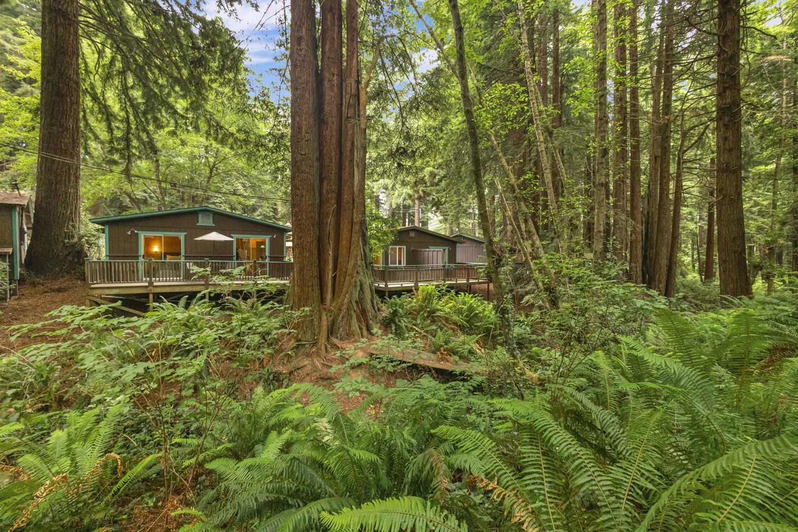 Emerald Forest Cabins & RV