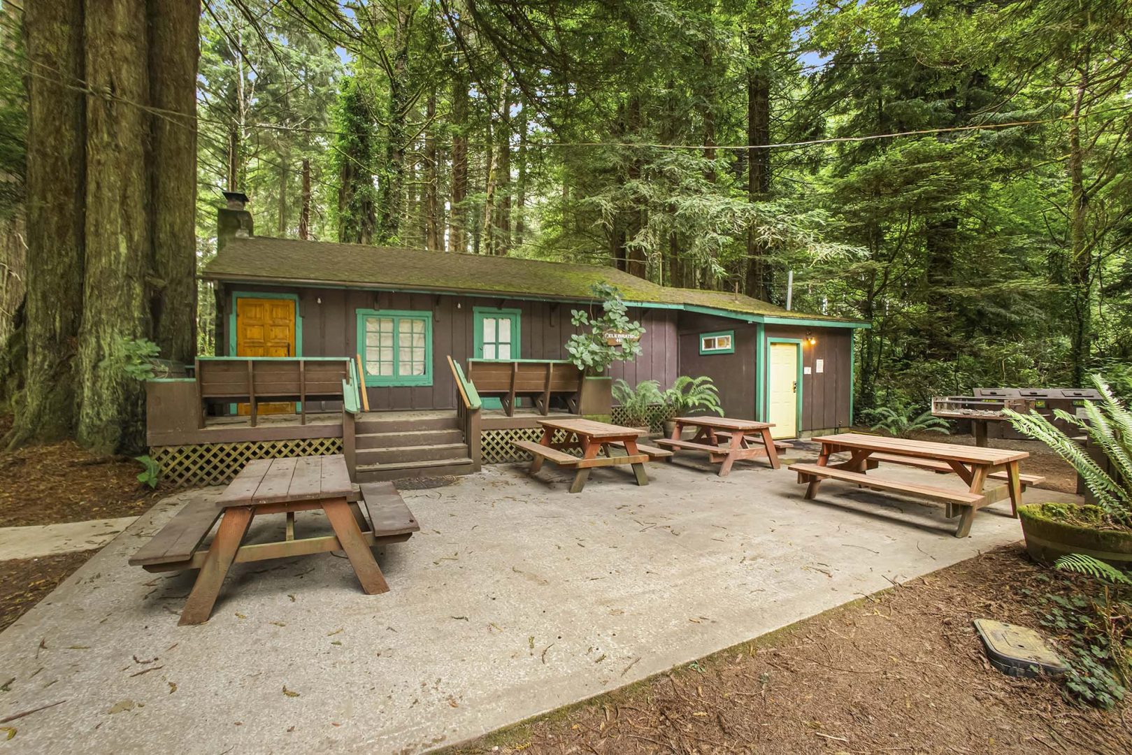 Emerald Forest Cabins & RV