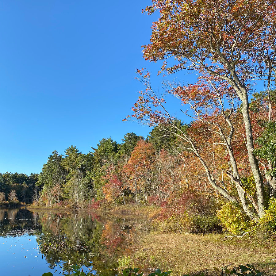 Ellis-Haven Campground