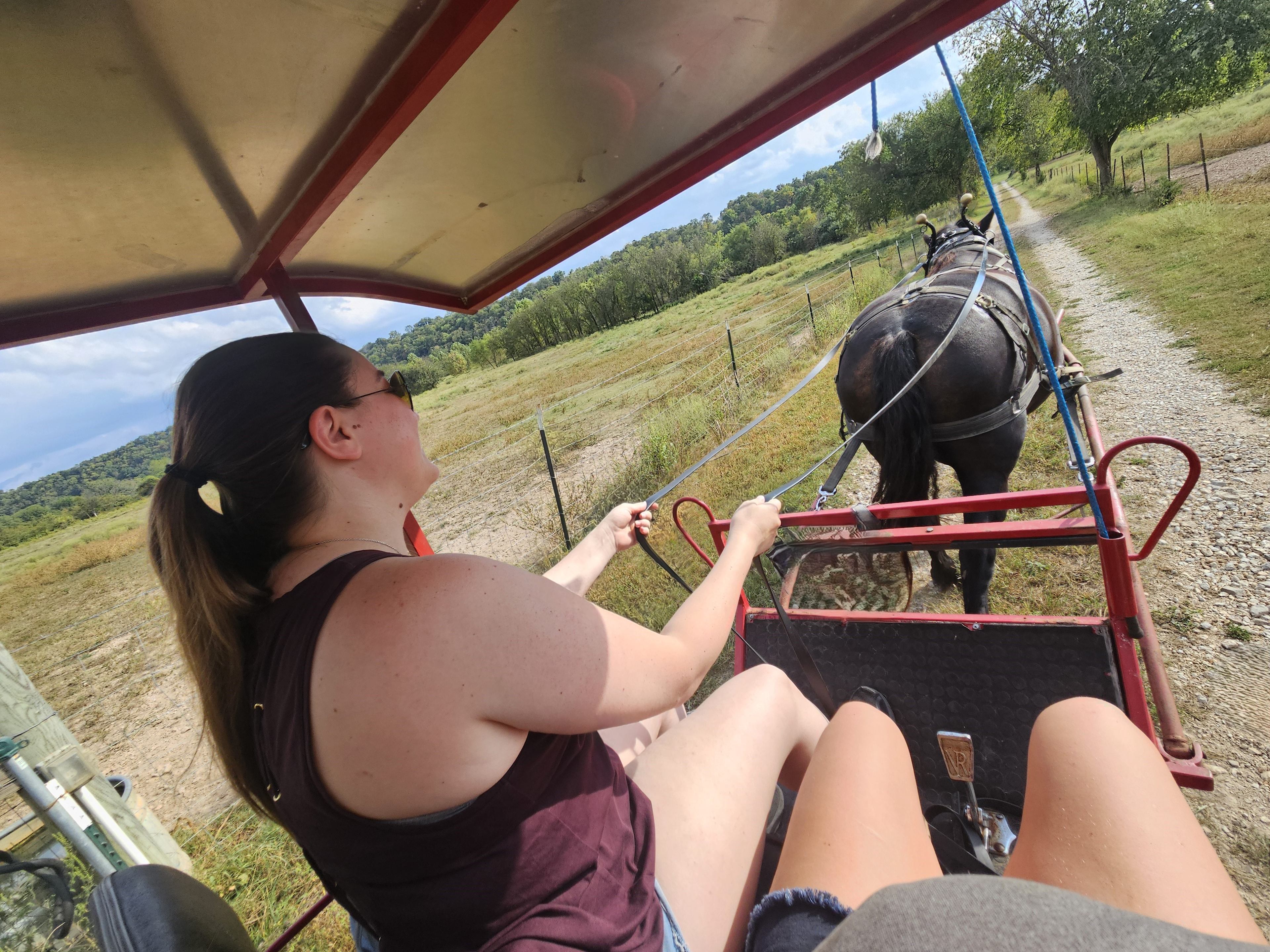 Clydesdale Experience & Campgrouns