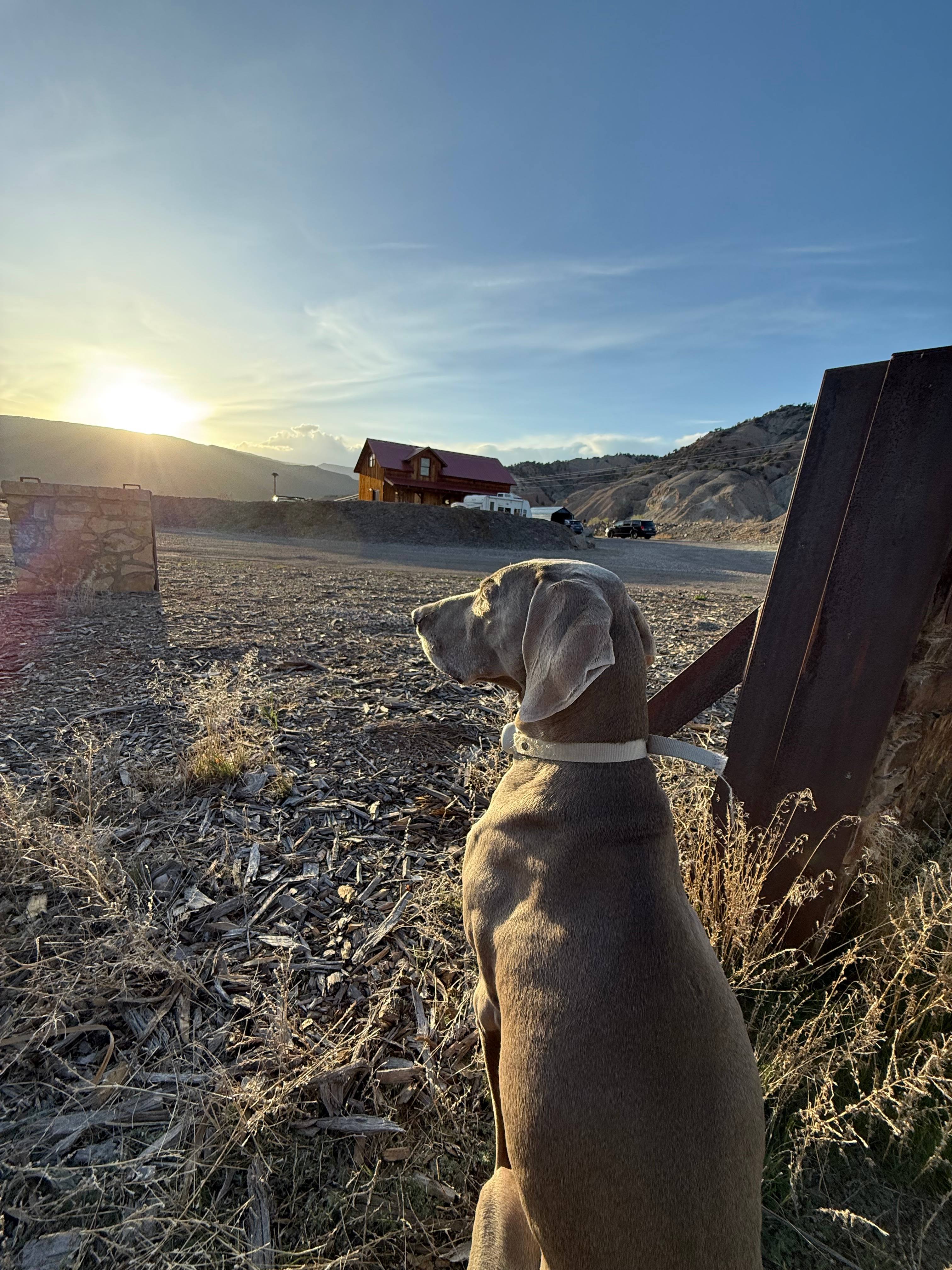 Stoneyard Distillery Awesome Possum RV Camping