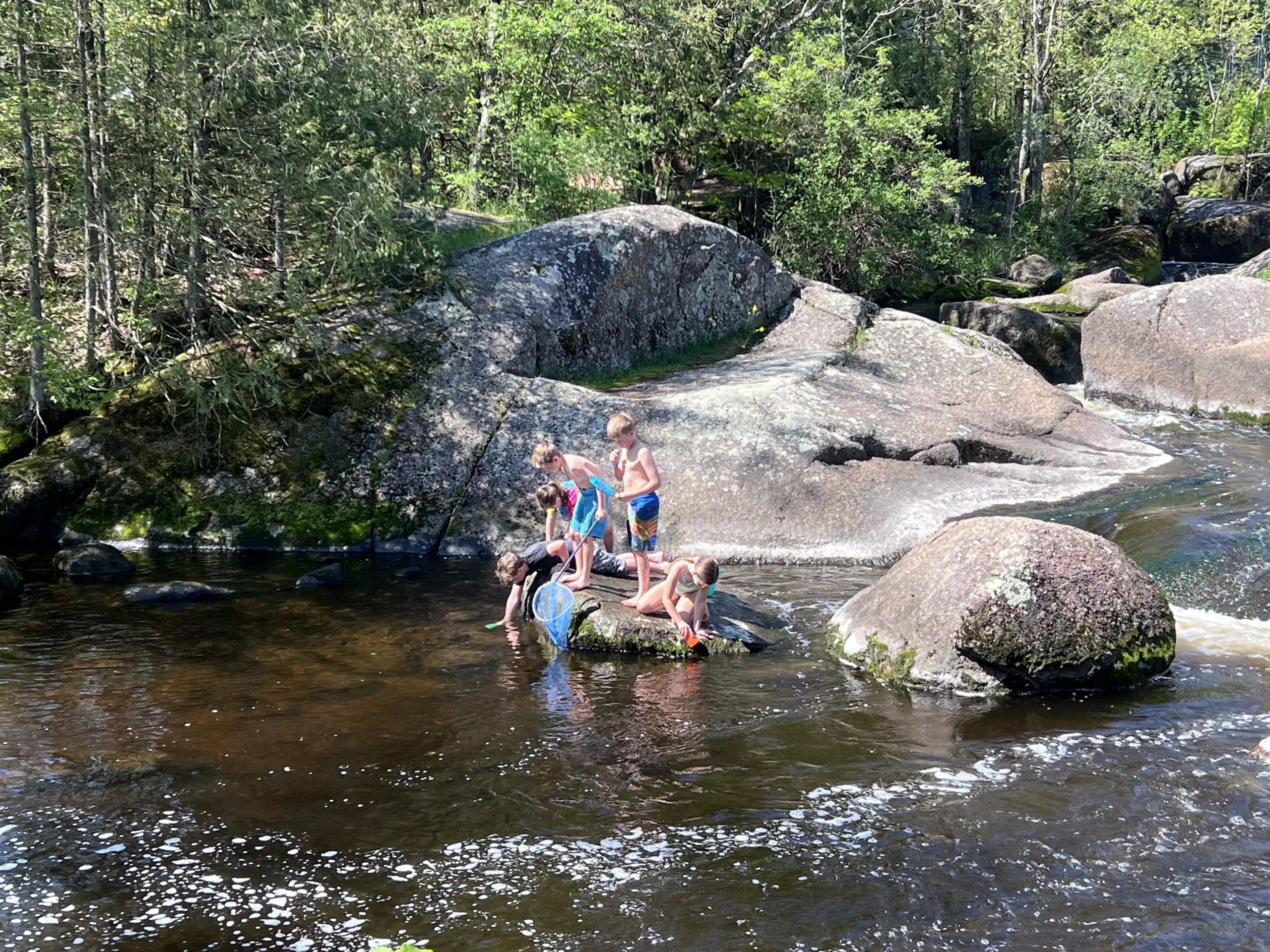 Tilleda Falls Campground