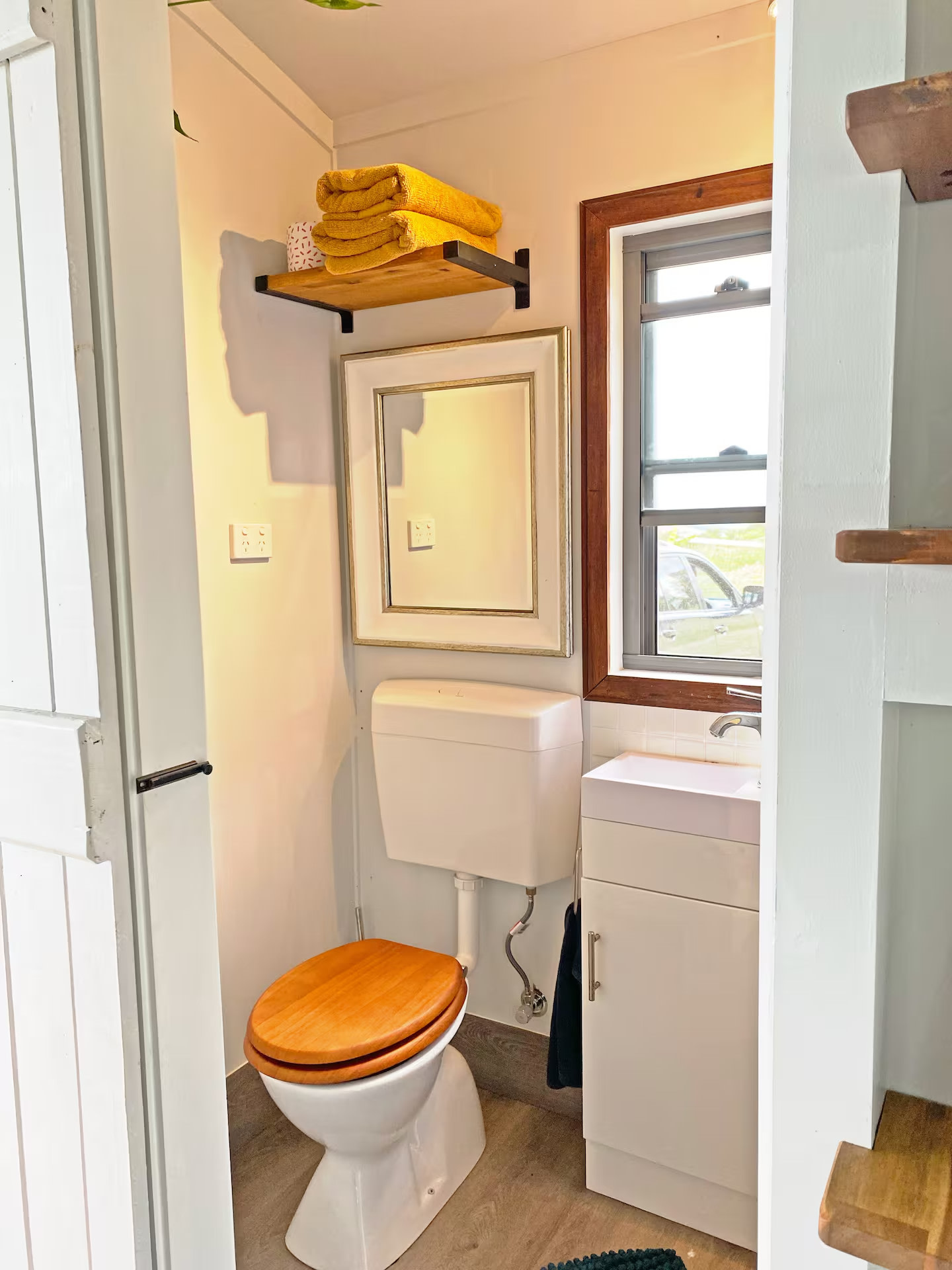 The Avocado Tree Farm