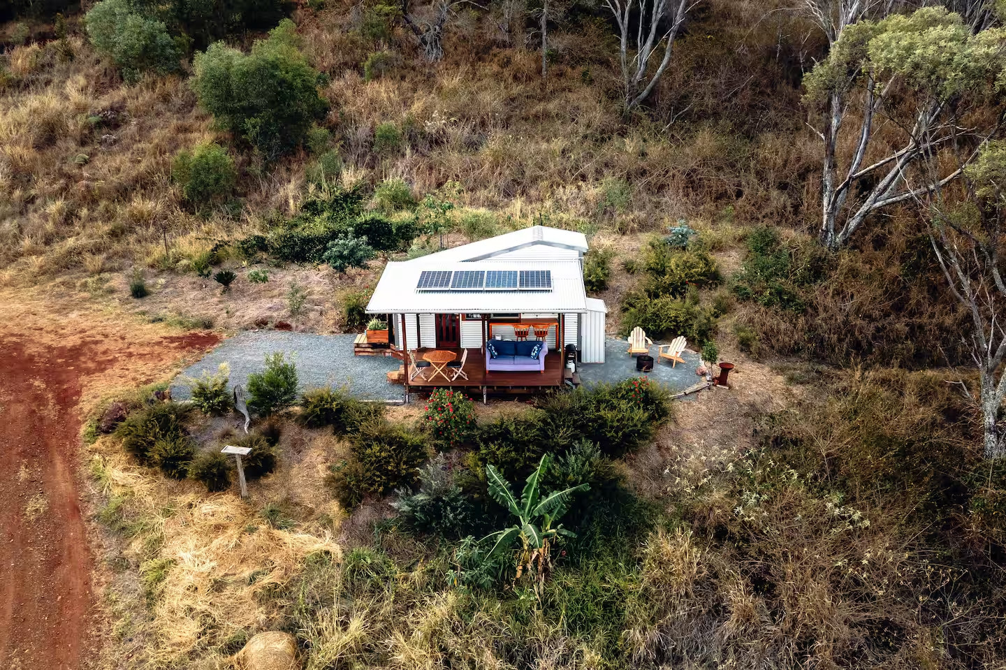 The Avocado Tree Farm
