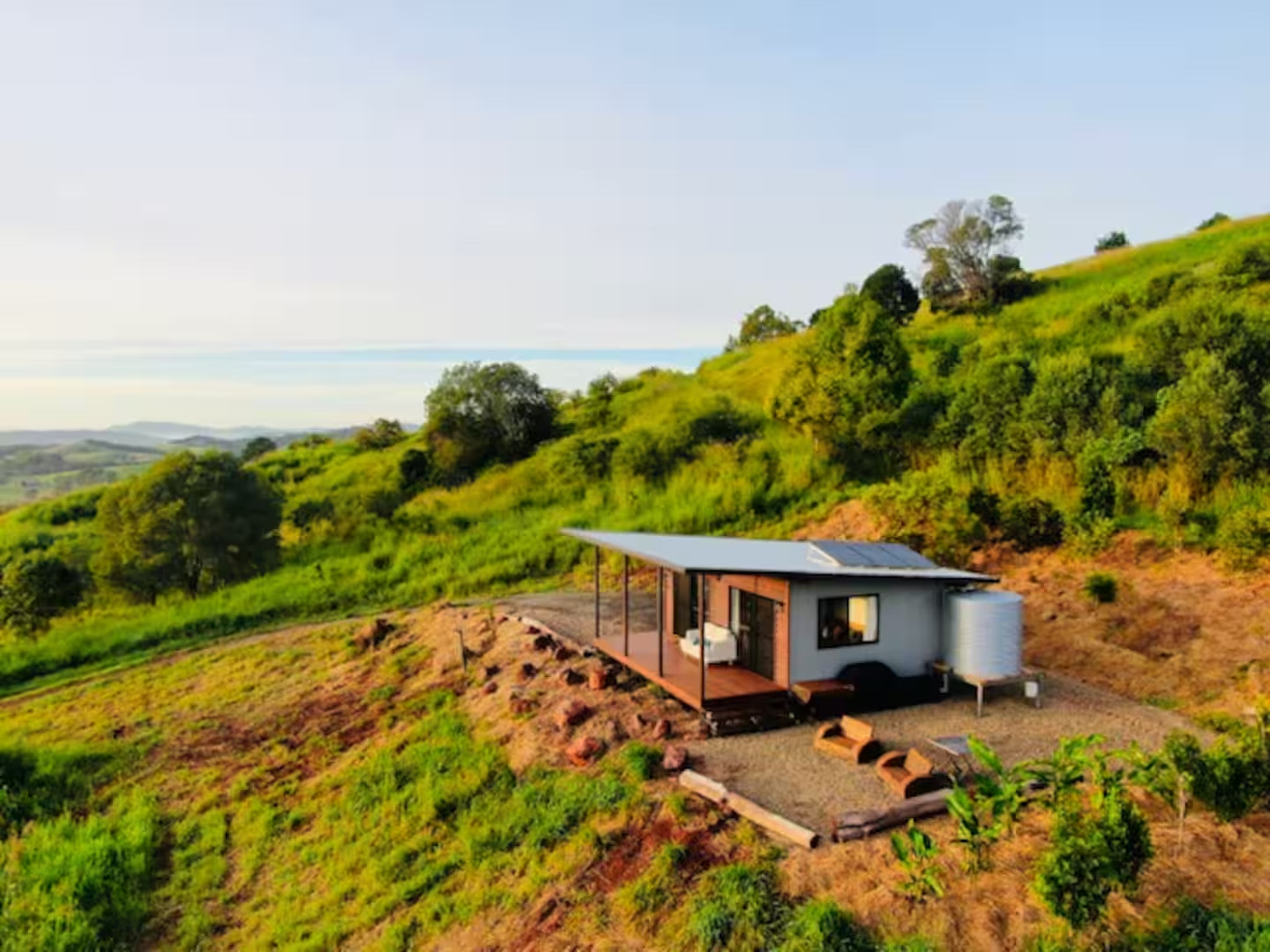 The Avocado Tree Farm