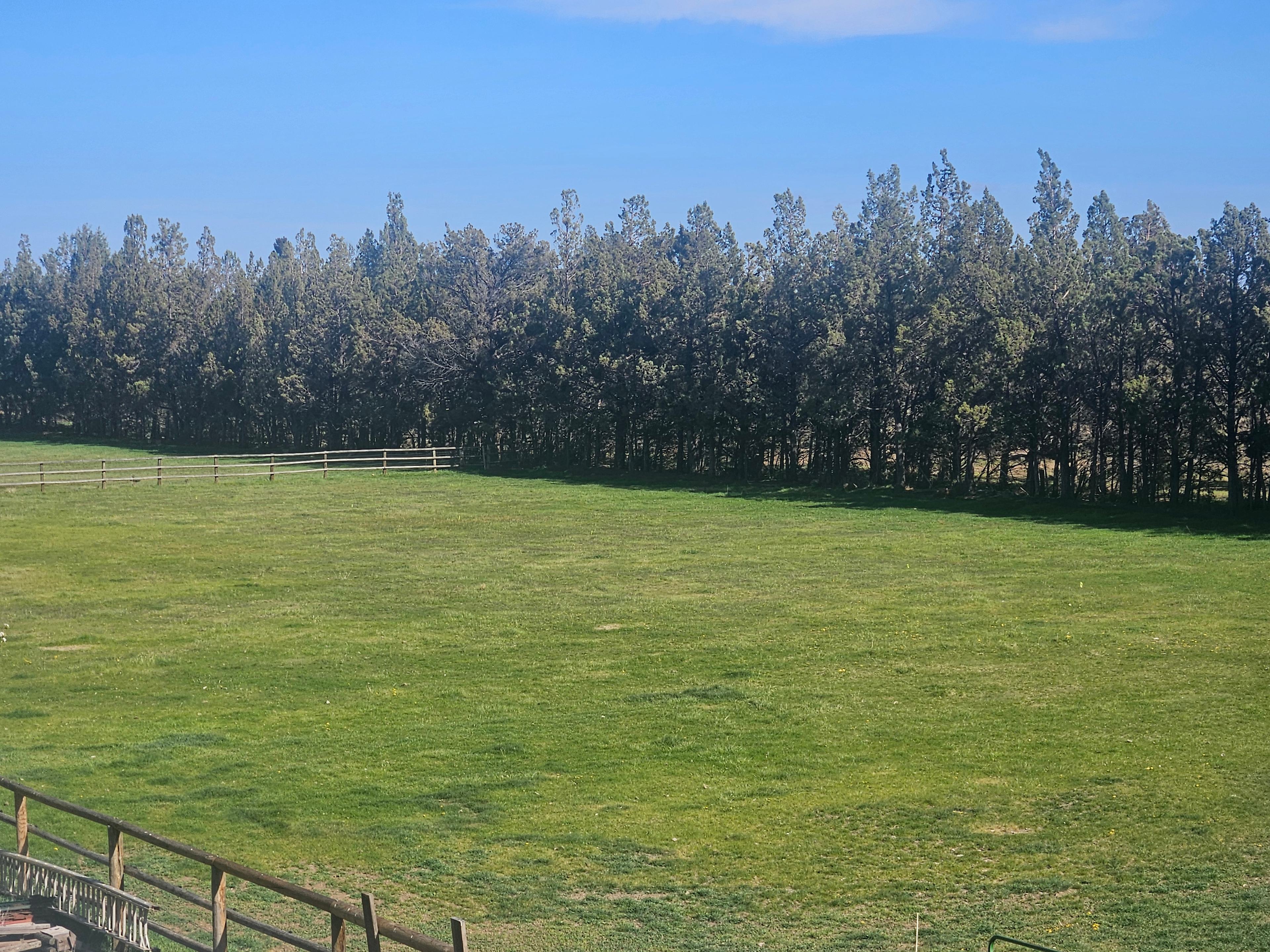 Kermit Farm,  starry nights