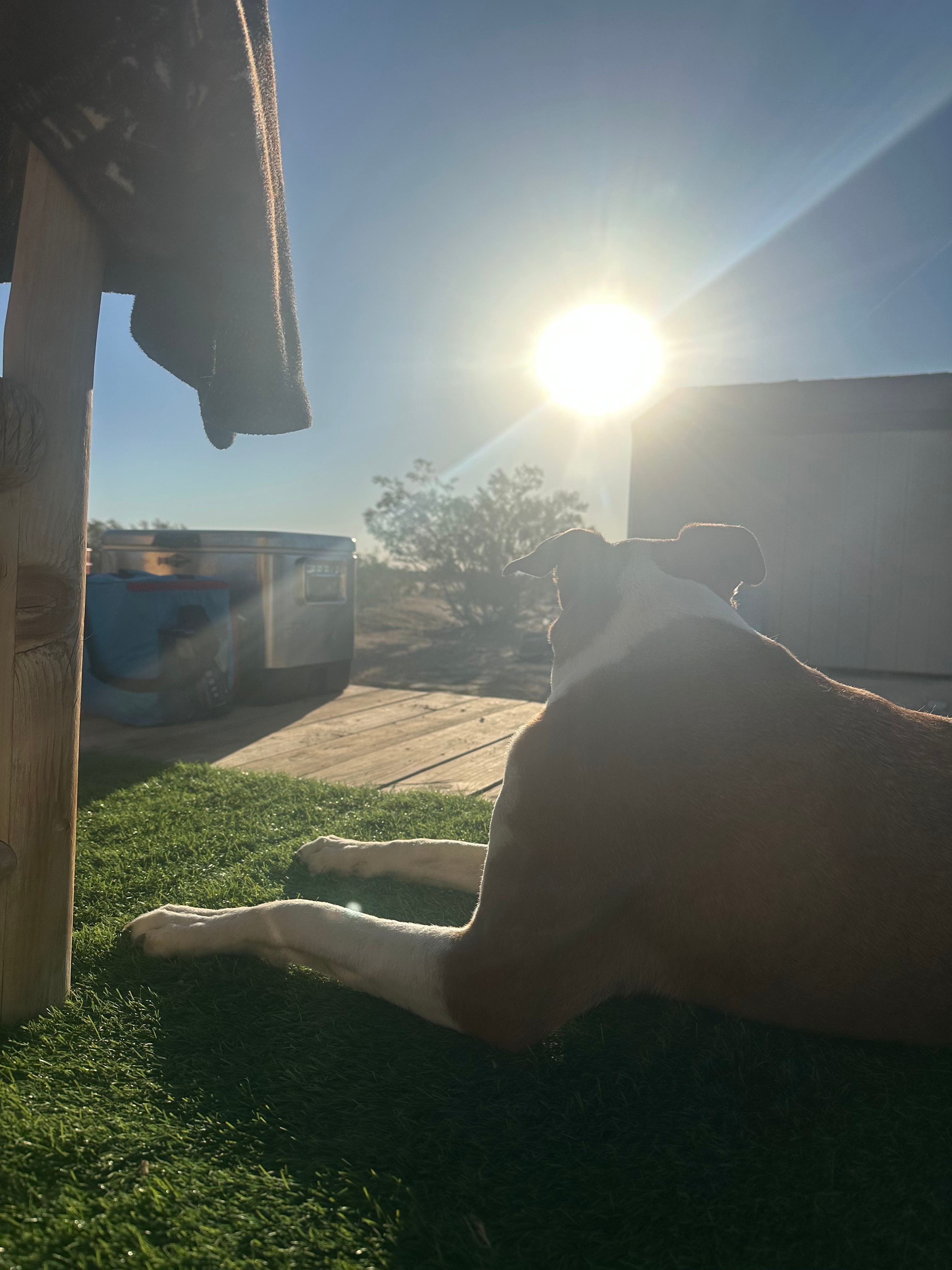 Cassie’s Candlelight Campsite