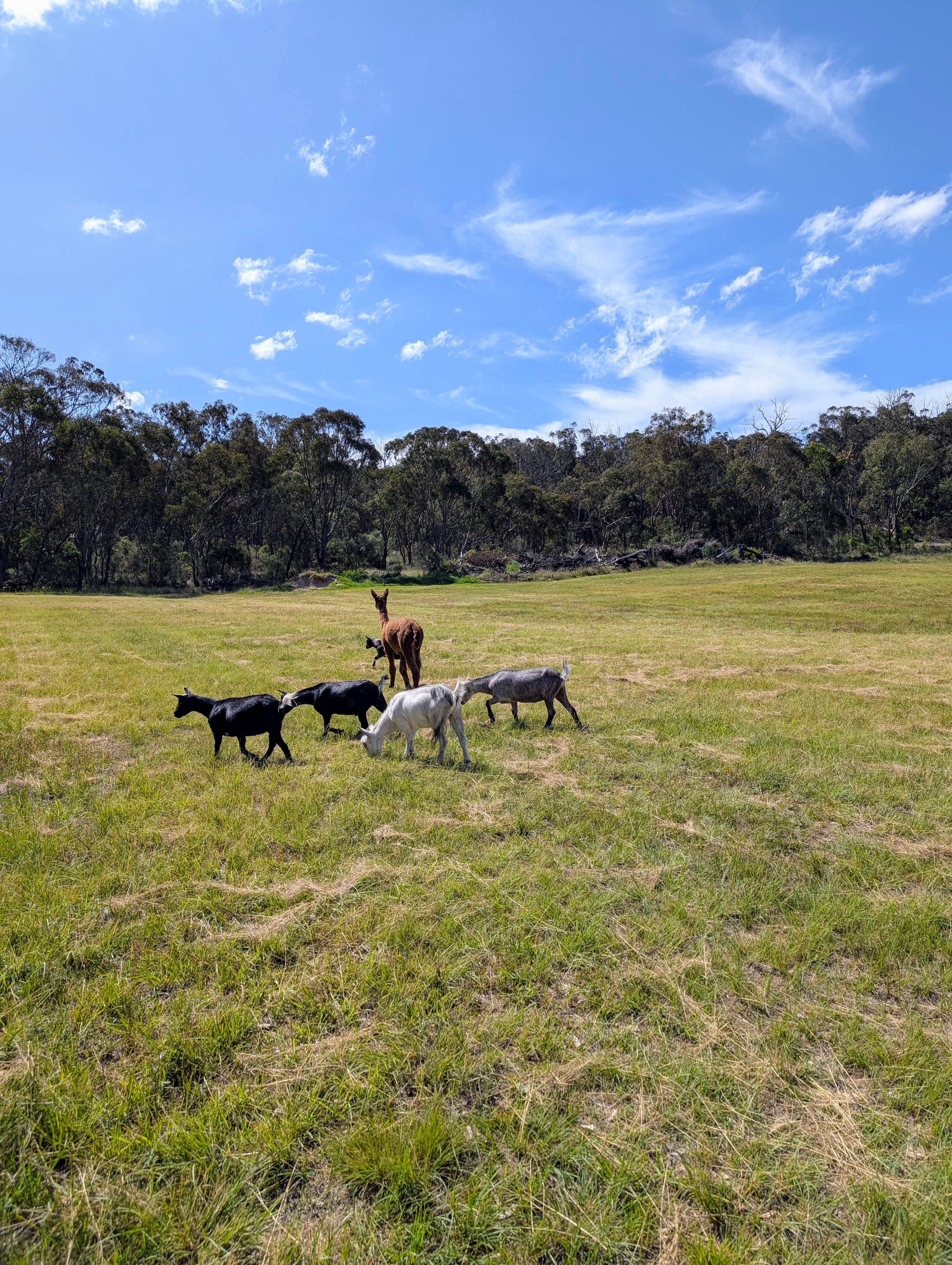 Donnelly's Keep @ Donnellys Castle