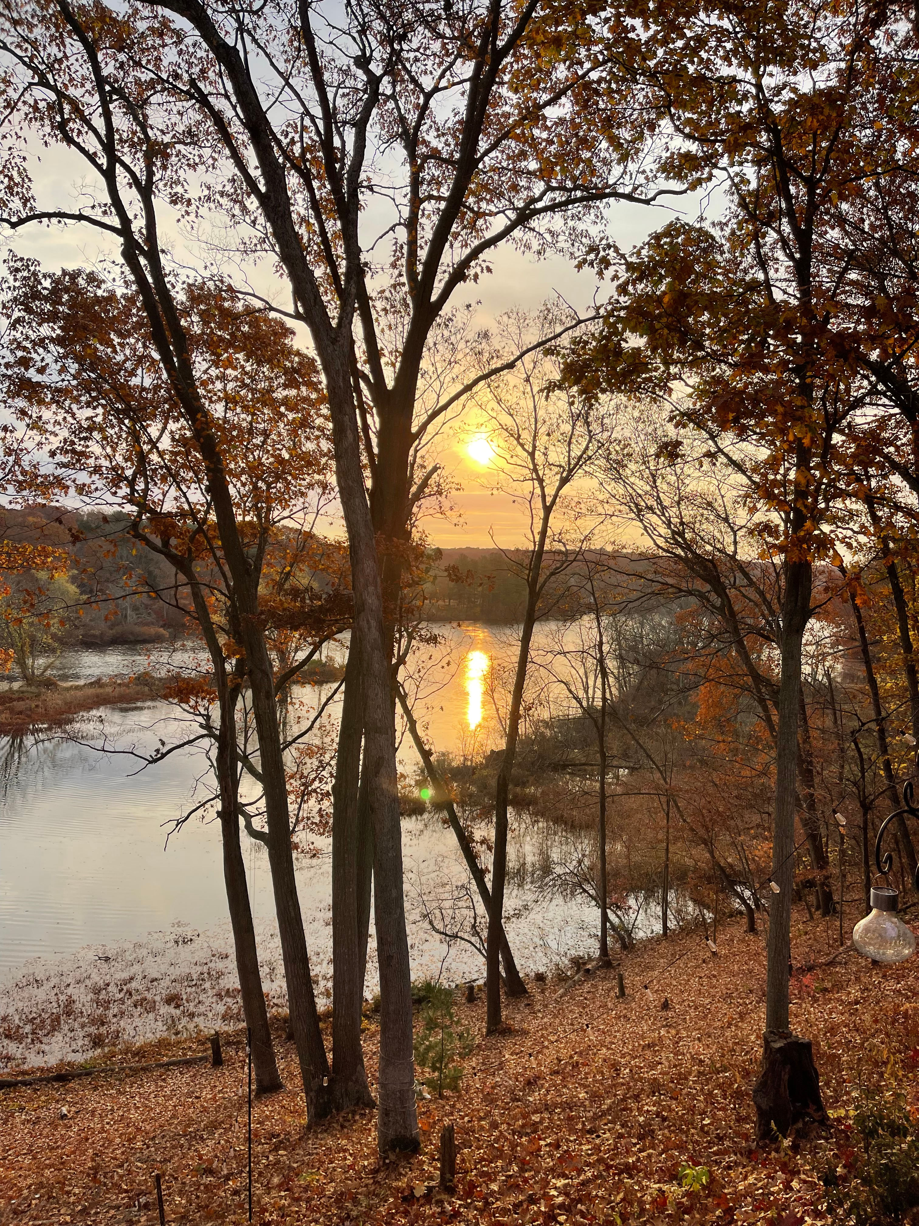 View of the morning river from the patio 