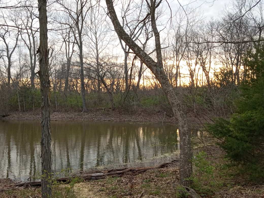 Deer Lake Retreat