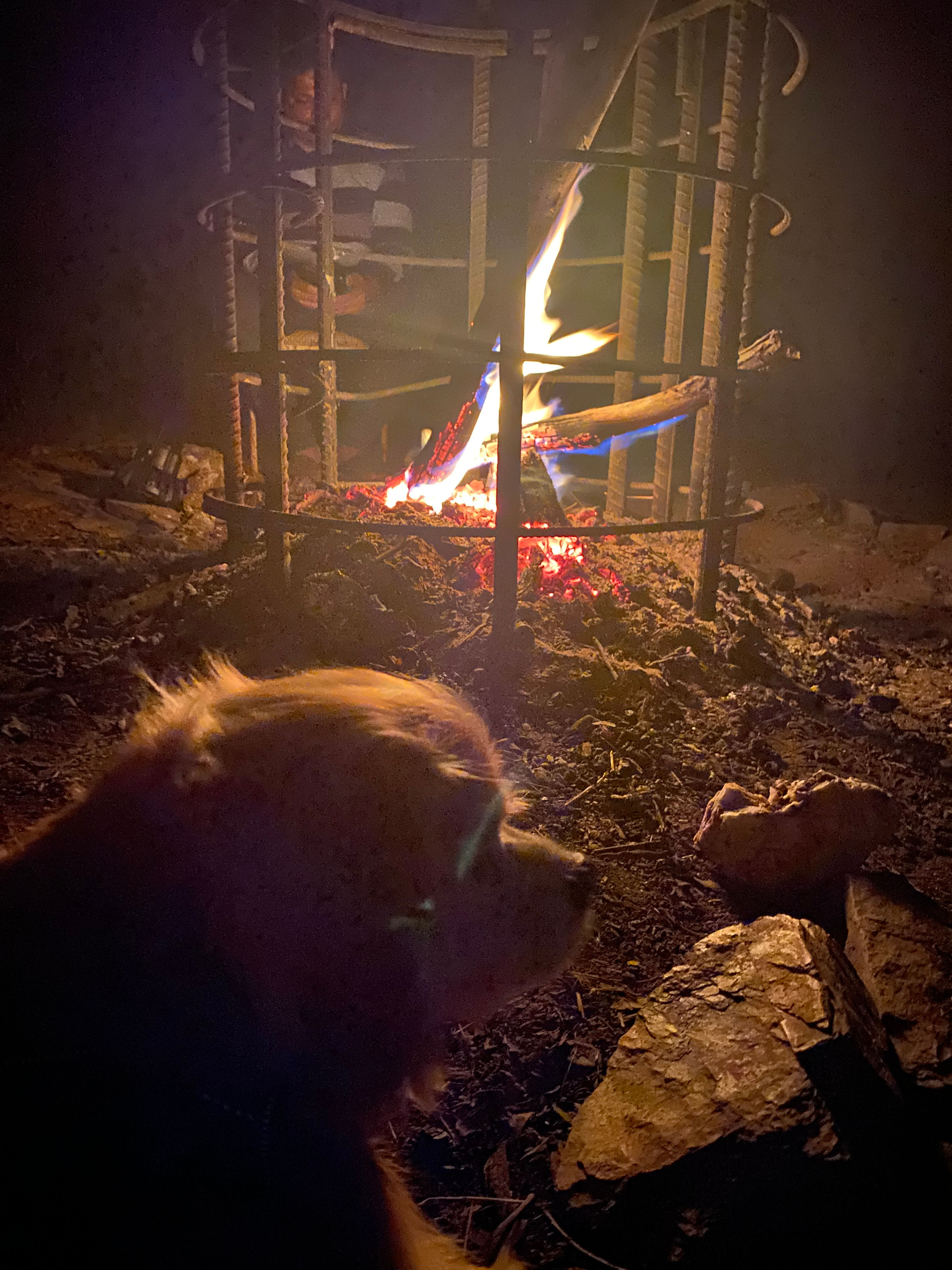 The Stockyard Experience