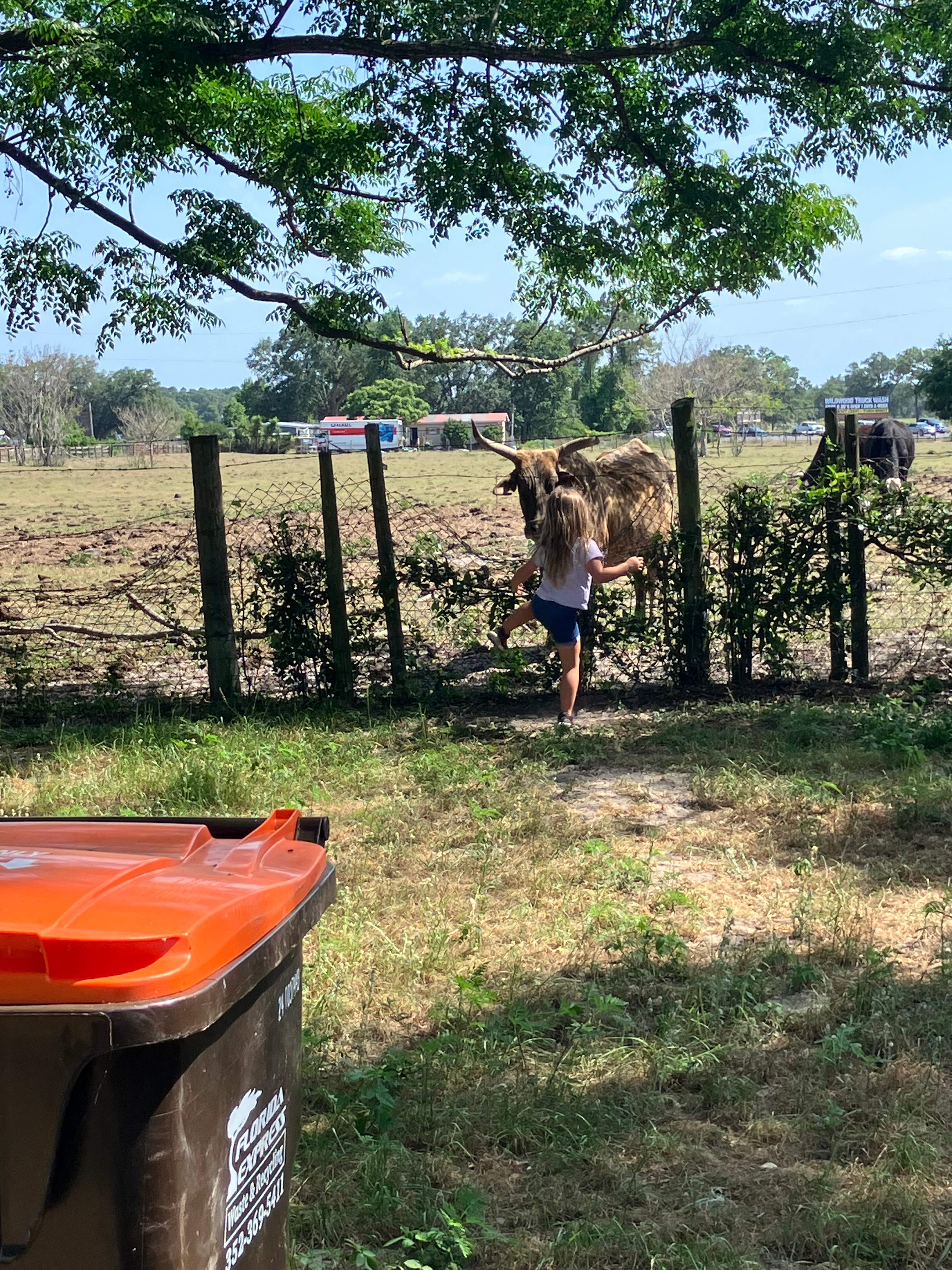 Family Farm