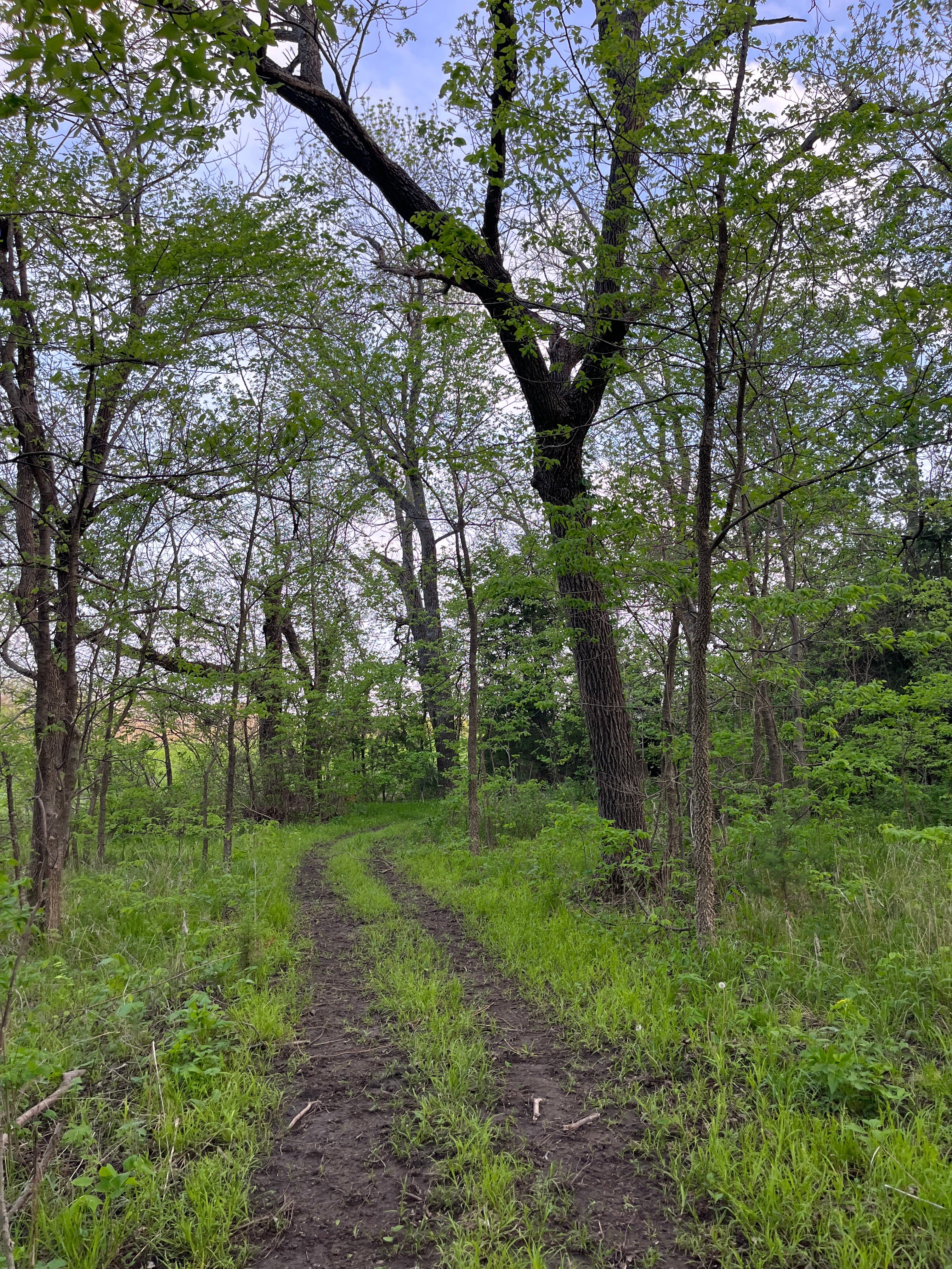 Solo Country Park