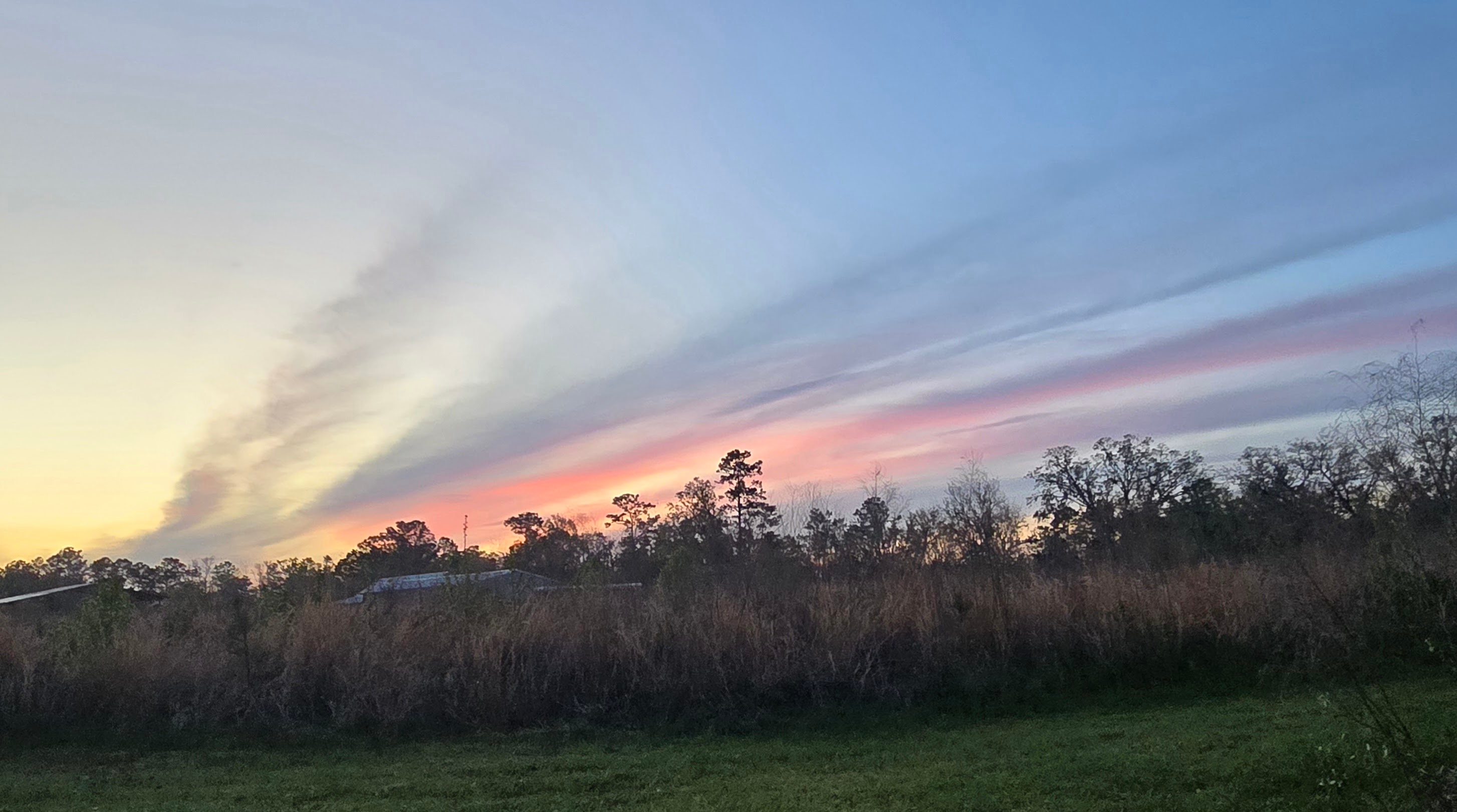King Farm and Nursery