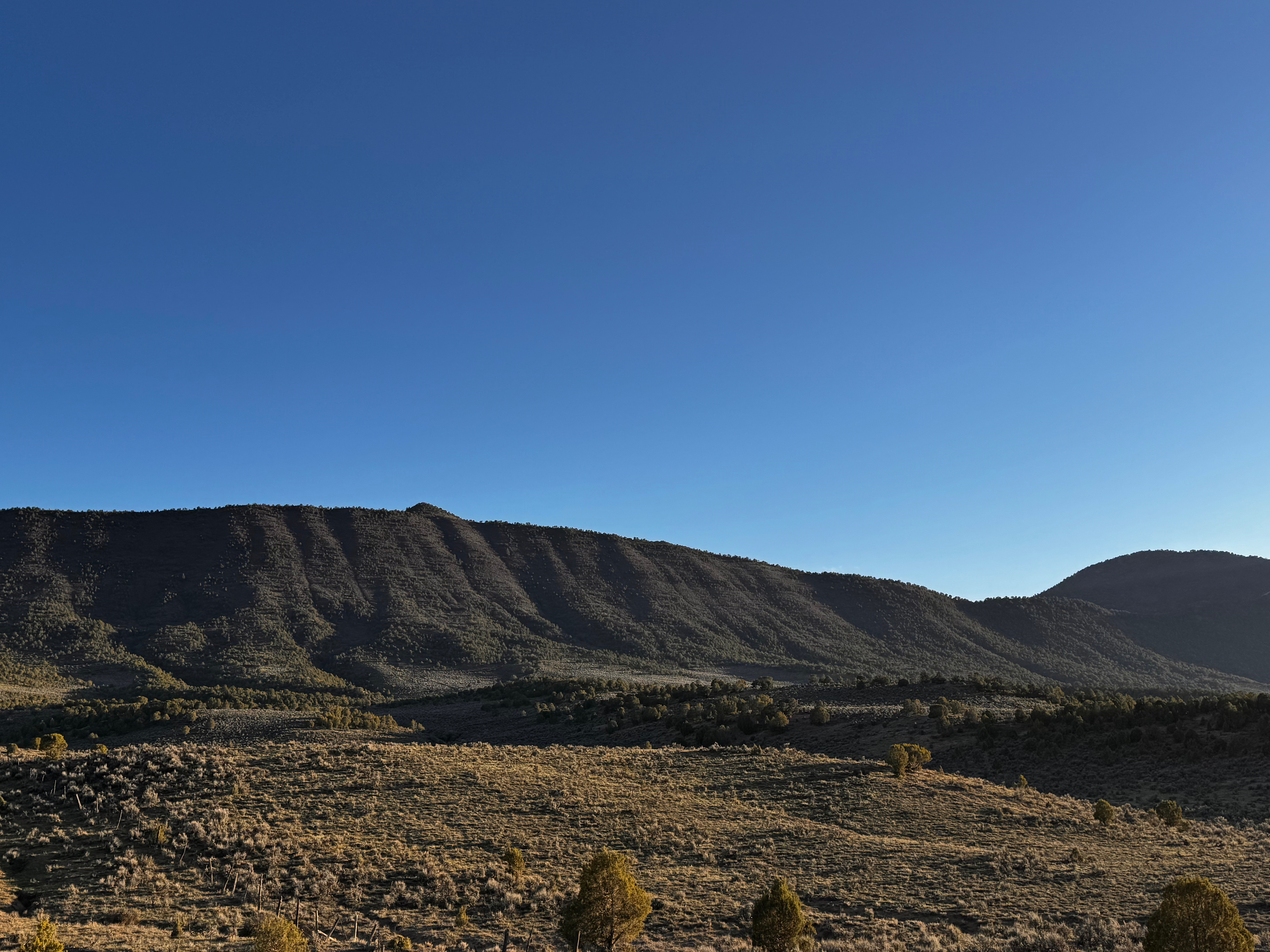 3 Pond Ranch