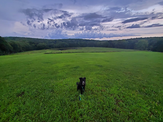 Bear Branch Campgrounds