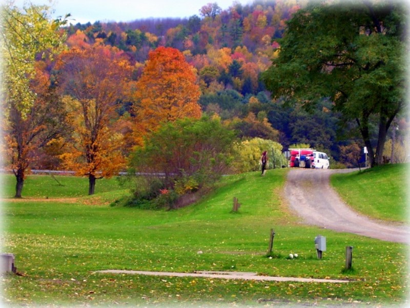 Tall Pines Campground & River Adventures