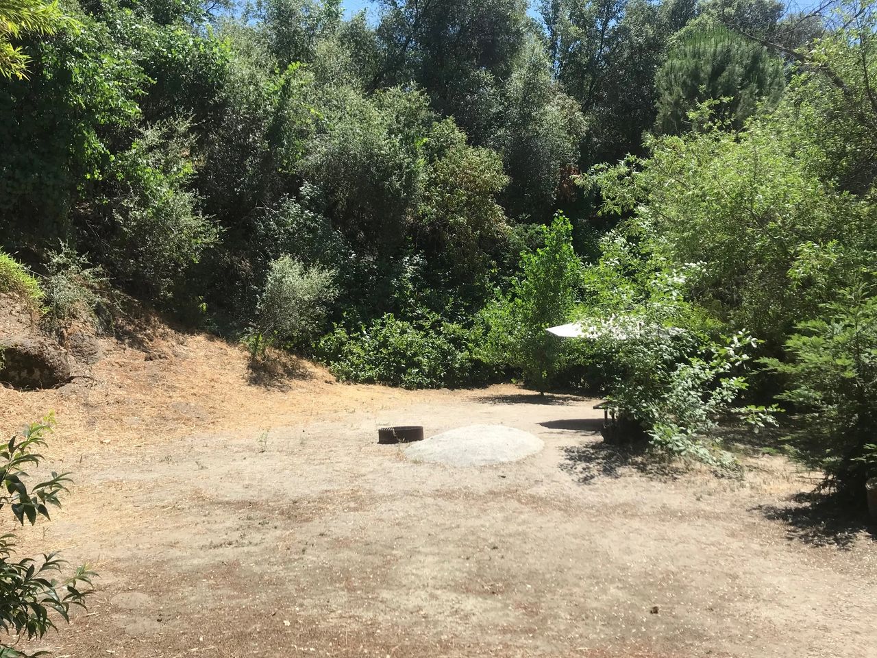 Kaweah Oaks Campground